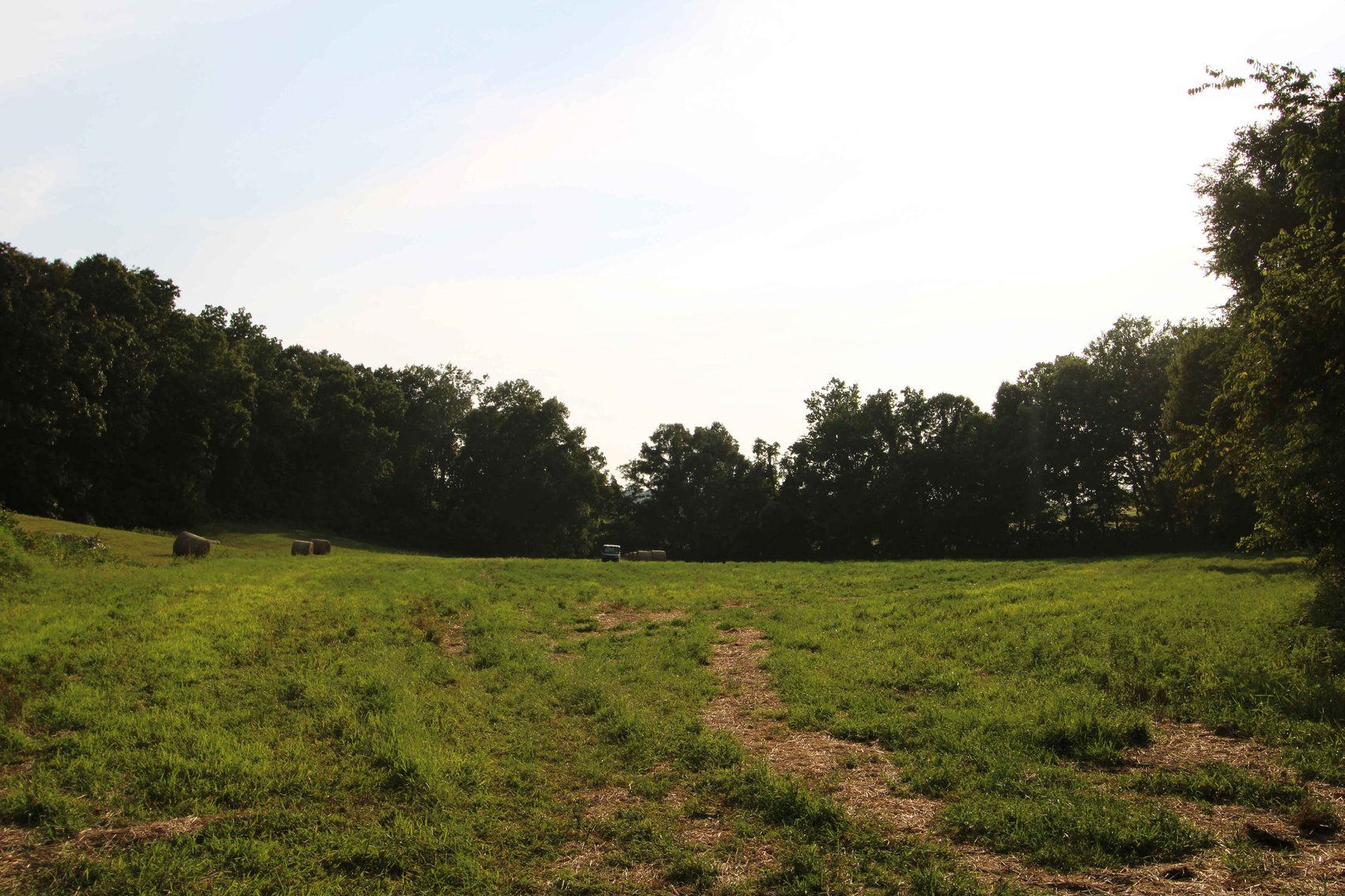 Image for 65.16 acres +/- off of County Road 522, Jackson MO 63755, MLS # 25009340