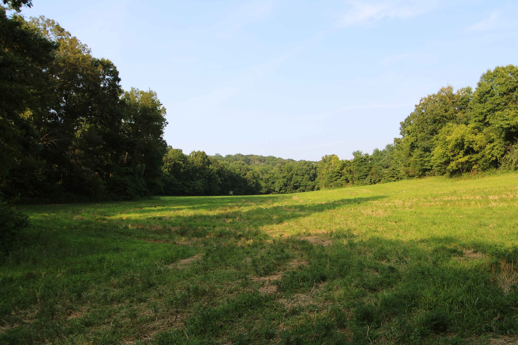 Image for 65.16 acres +/- off of County Road 522, Jackson MO 63755, MLS # 25009340