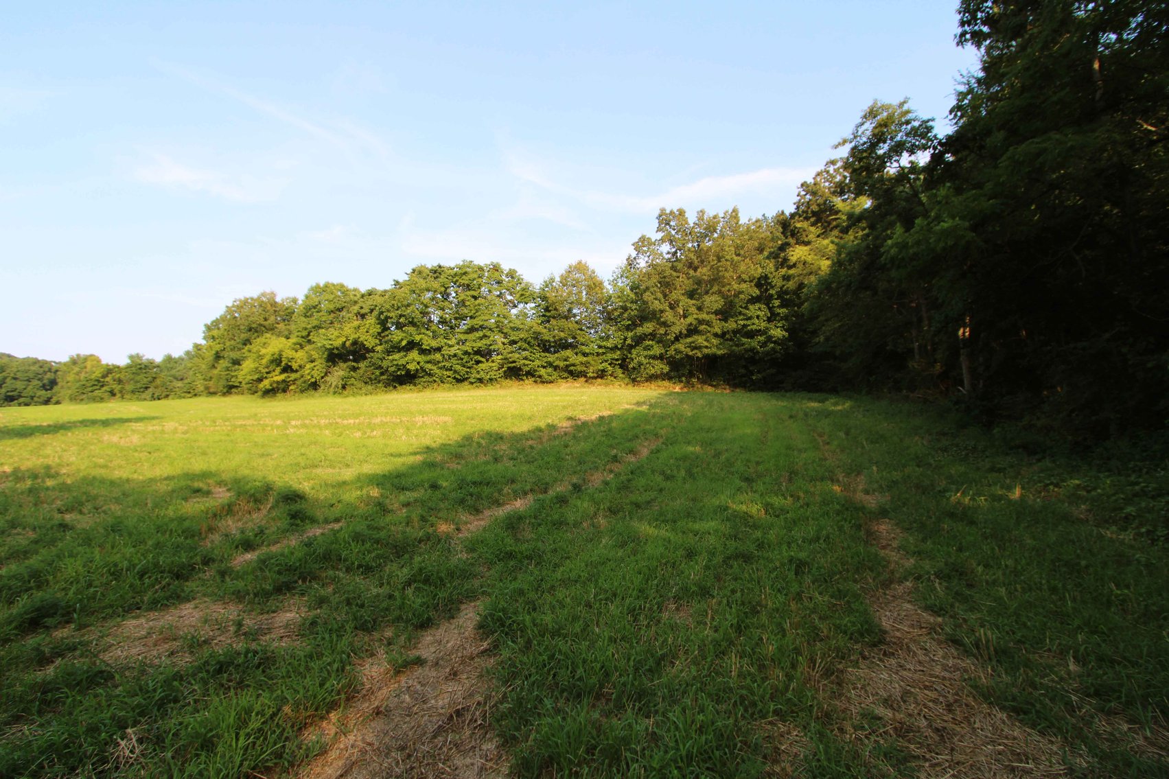 Image for 65.16 acres +/- off of County Road 522, Jackson MO 63755, MLS # 25009340