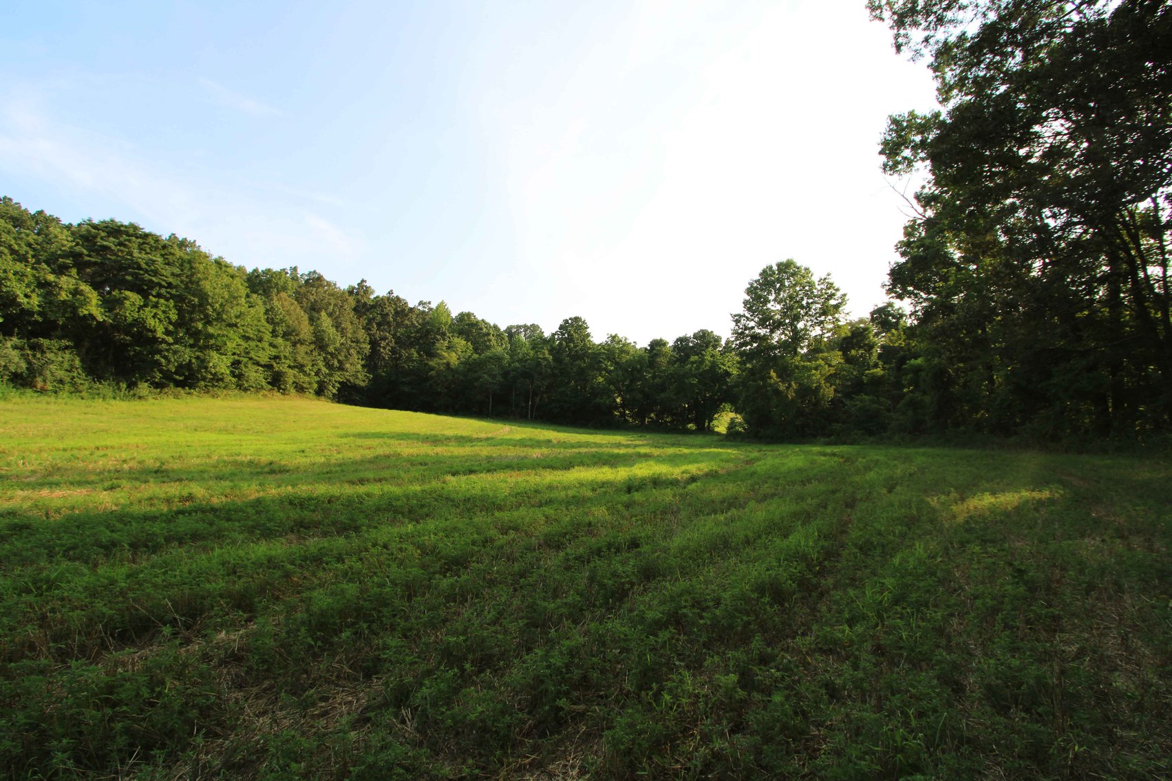 Image for 65.16 acres +/- off of County Road 522, Jackson MO 63755, MLS # 25009340
