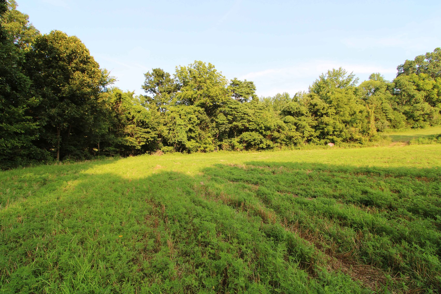 Image for 65.16 acres +/- off of County Road 522, Jackson MO 63755, MLS # 25009340