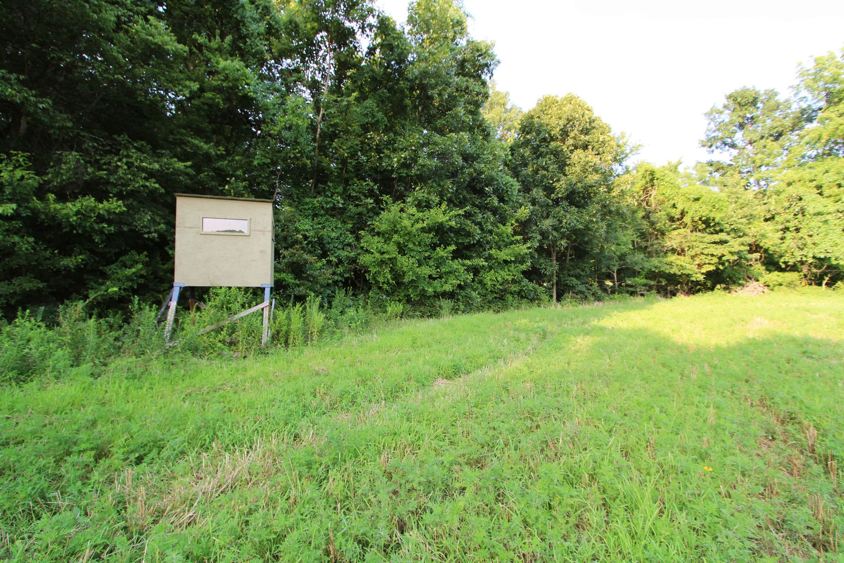Image for 65.16 acres +/- off of County Road 522, Jackson MO 63755, MLS # 25009340