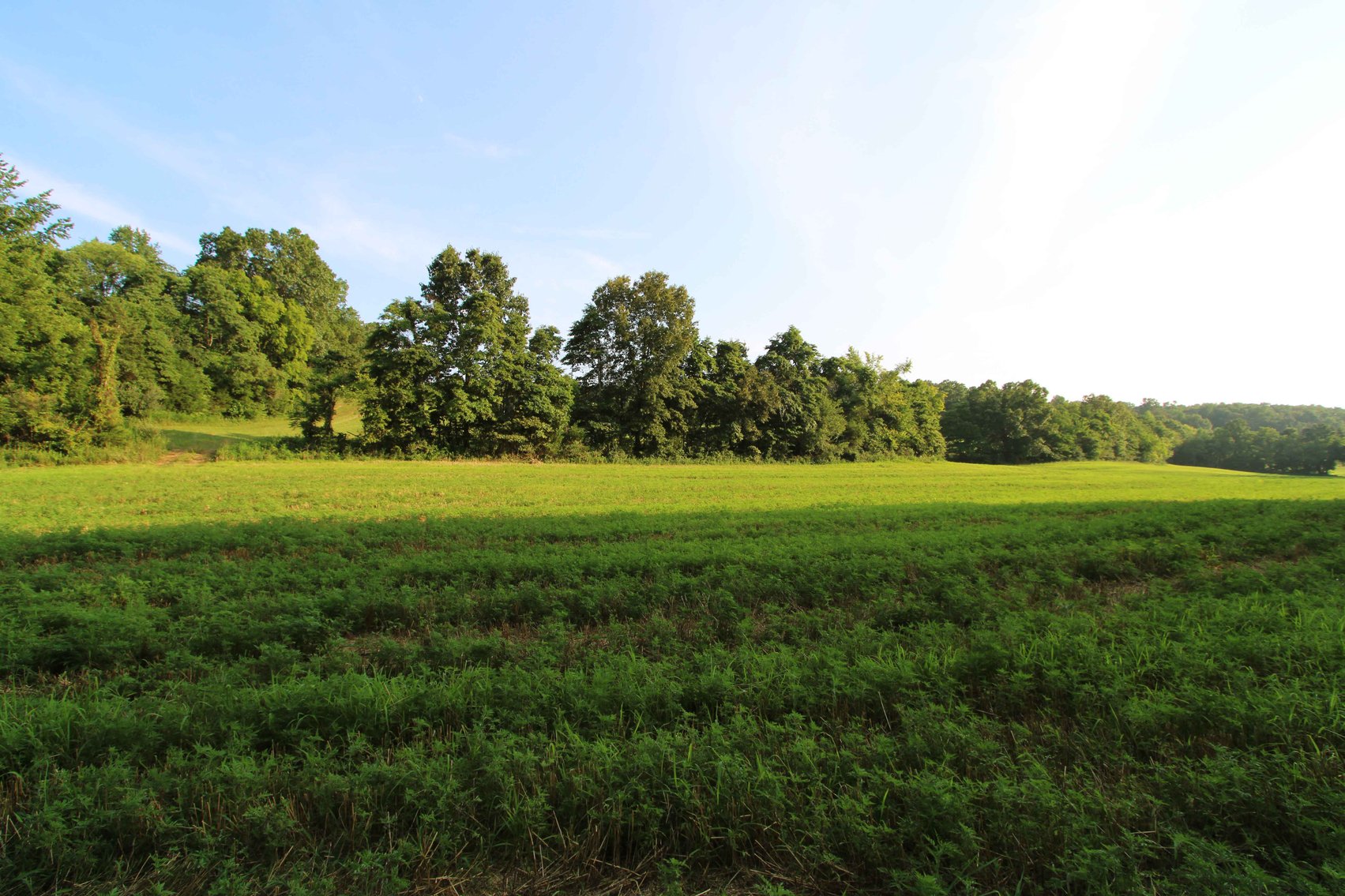 Image for 65.16 acres +/- off of County Road 522, Jackson MO 63755, MLS # 25009340