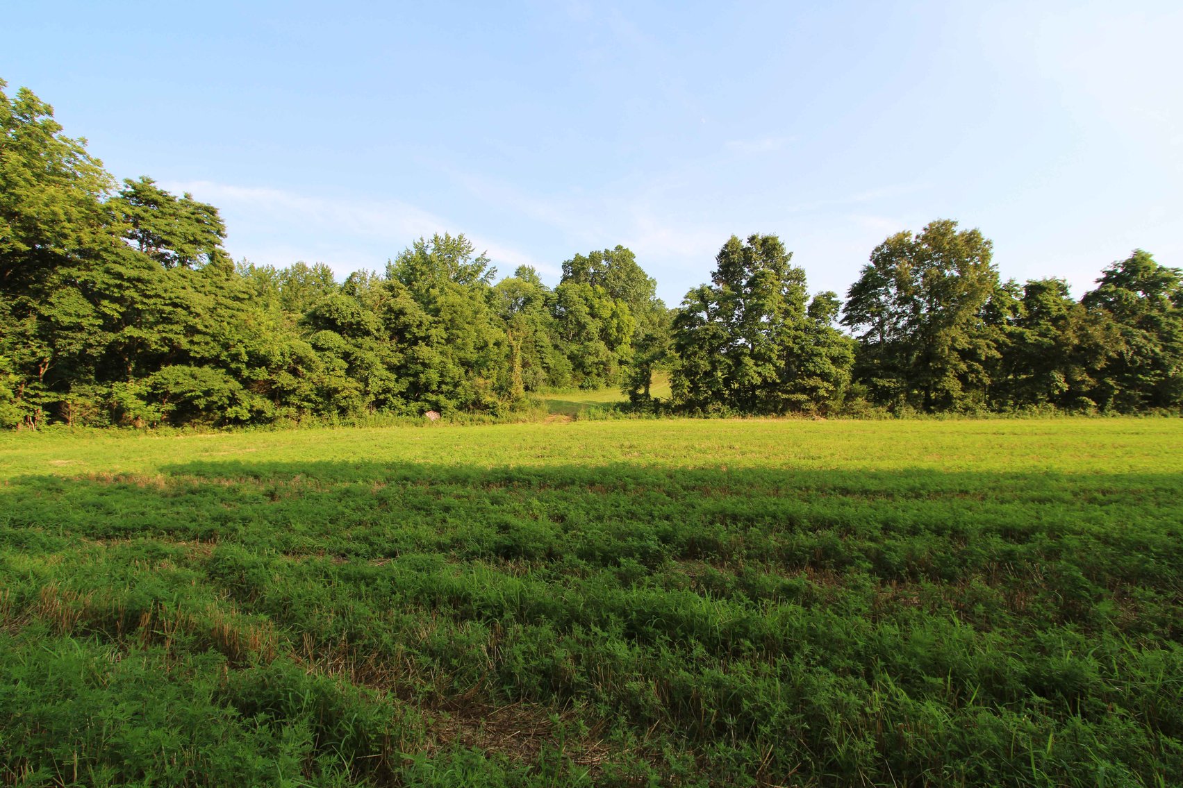 Image for 65.16 acres +/- off of County Road 522, Jackson MO 63755, MLS # 25009340