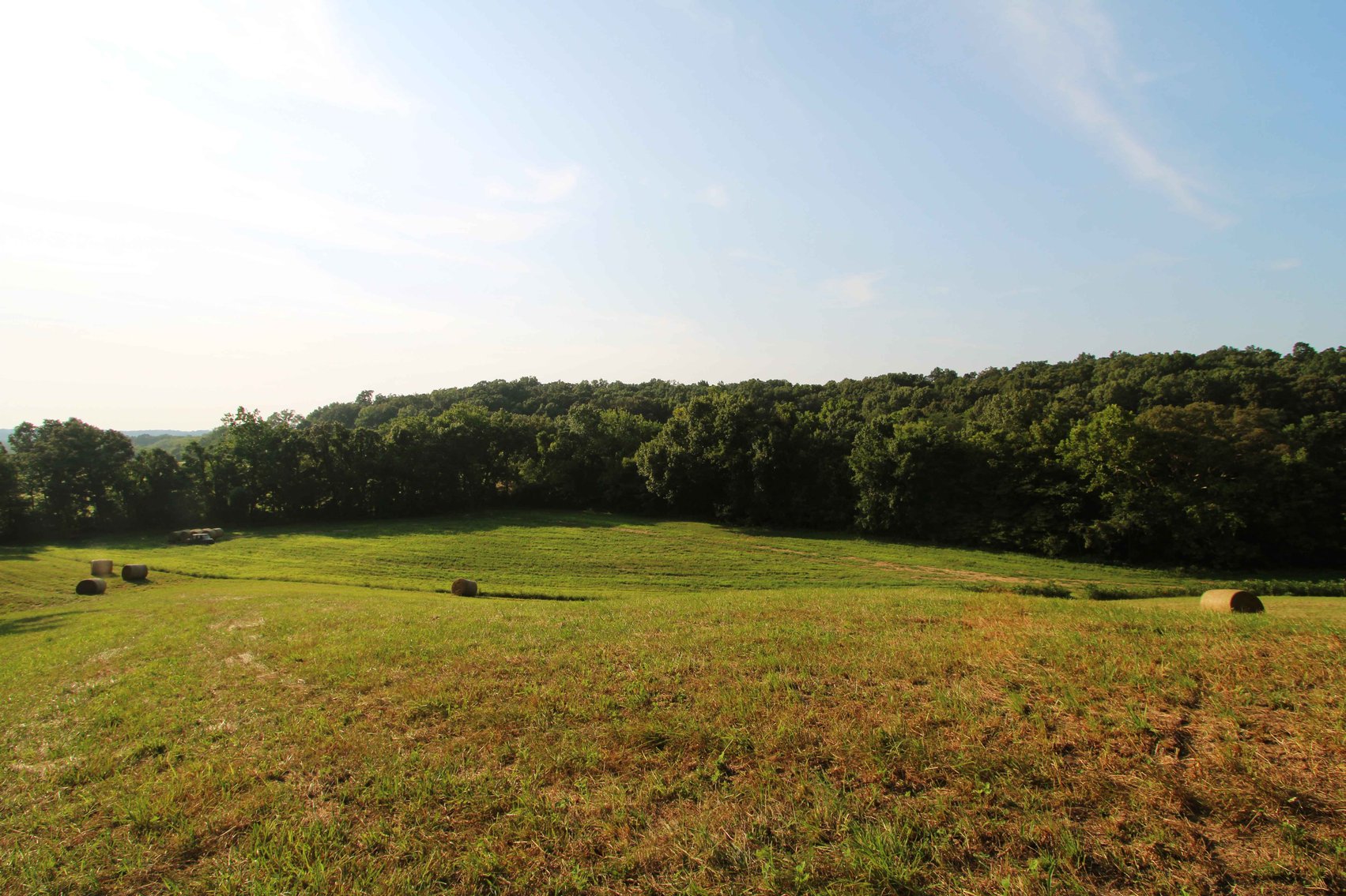 Image for 65.16 acres +/- off of County Road 522, Jackson MO 63755, MLS # 25009340