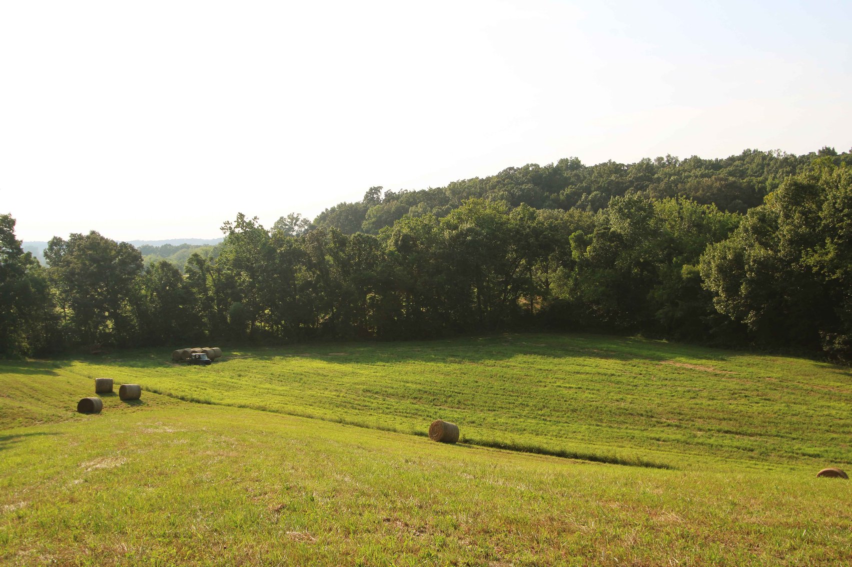 Image for 65.16 acres +/- off of County Road 522, Jackson MO 63755, MLS # 25009340