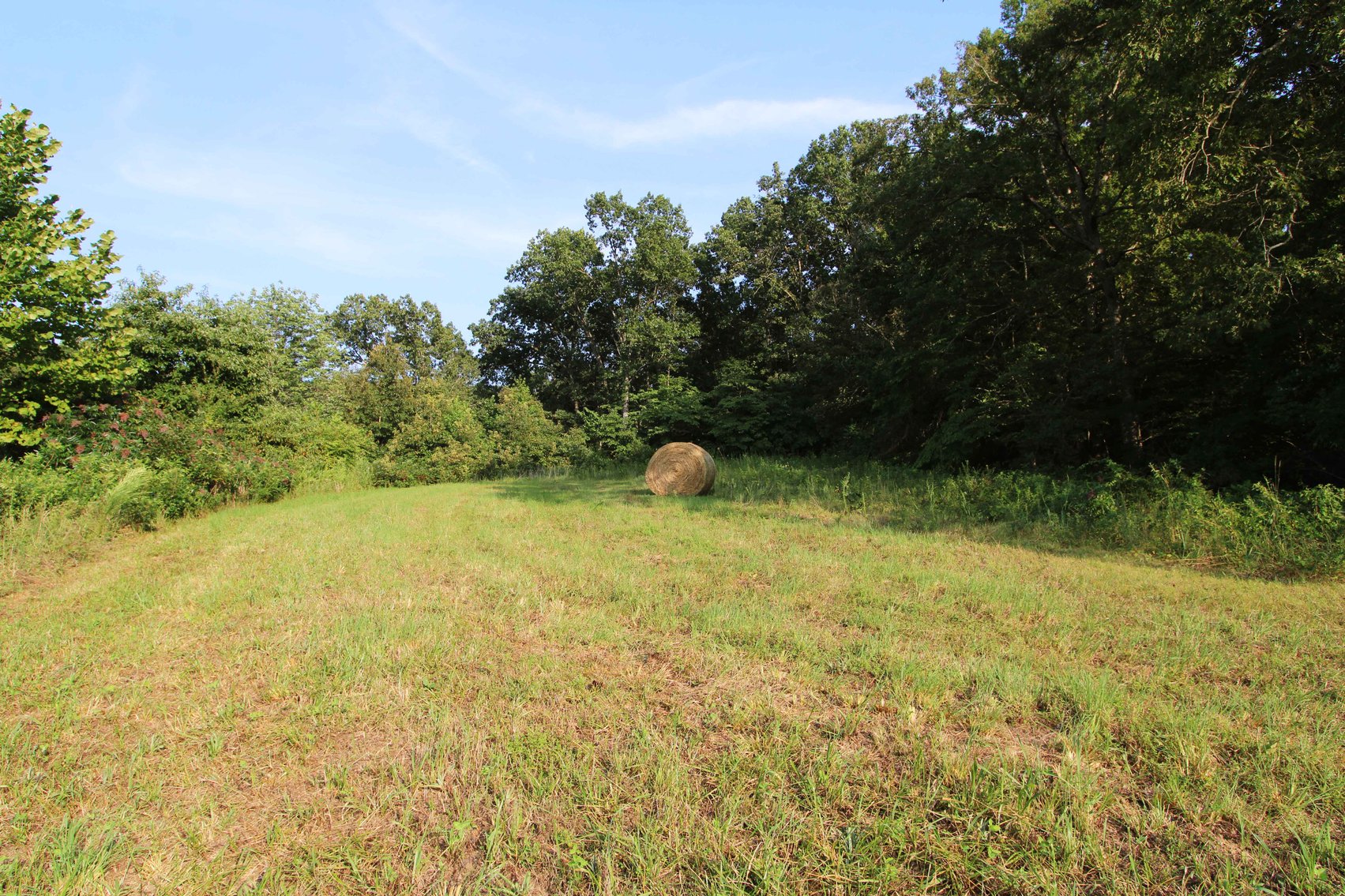 Image for 65.16 acres +/- off of County Road 522, Jackson MO 63755, MLS # 25009340