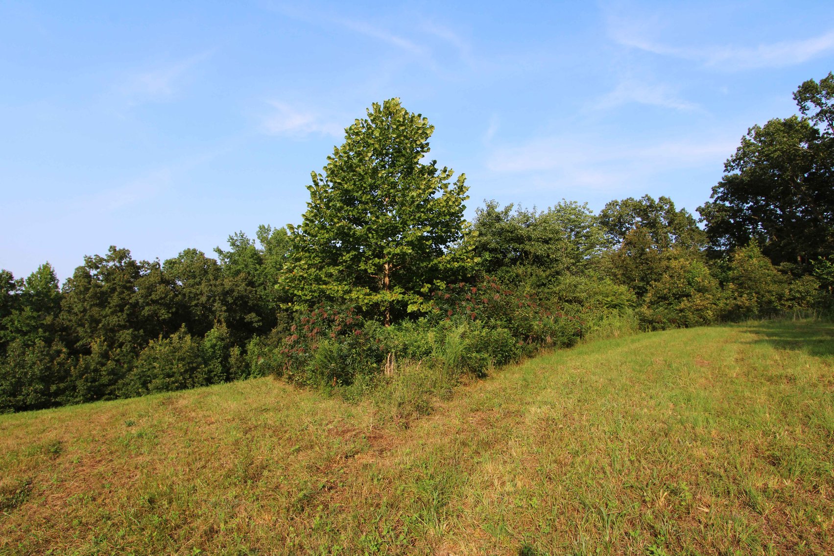 Image for 65.16 acres +/- off of County Road 522, Jackson MO 63755, MLS # 25009340