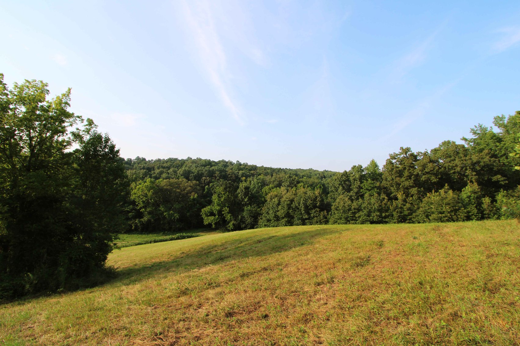 Image for 65.16 acres +/- off of County Road 522, Jackson MO 63755, MLS # 25009340