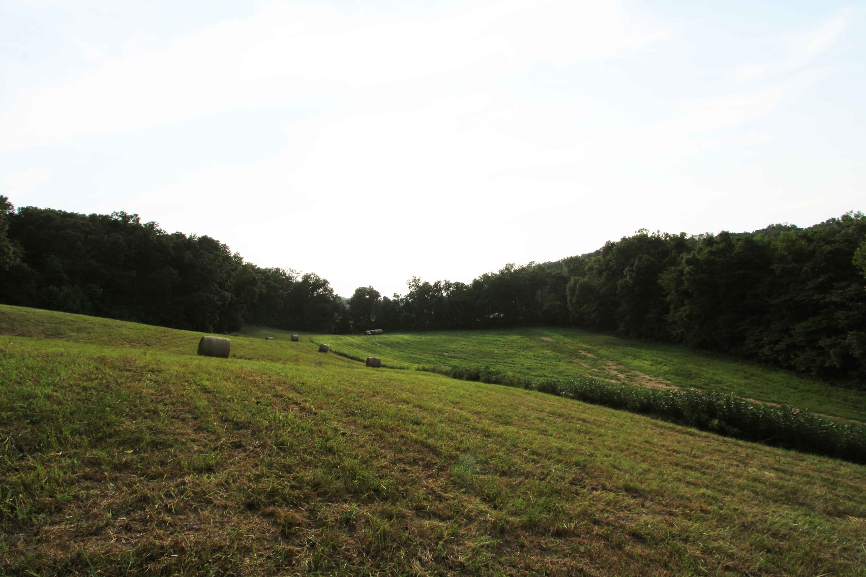 Image for 65.16 acres +/- off of County Road 522, Jackson MO 63755, MLS # 25009340