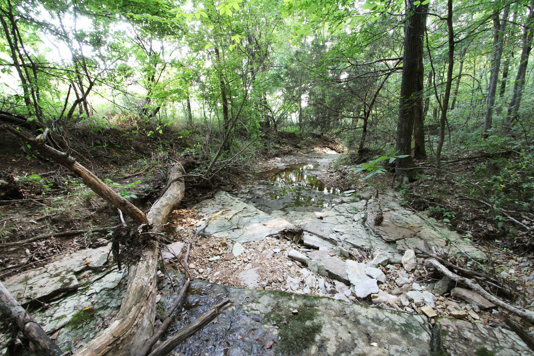 Image for 65.16 acres +/- off of County Road 522, Jackson MO 63755, MLS # 25009340