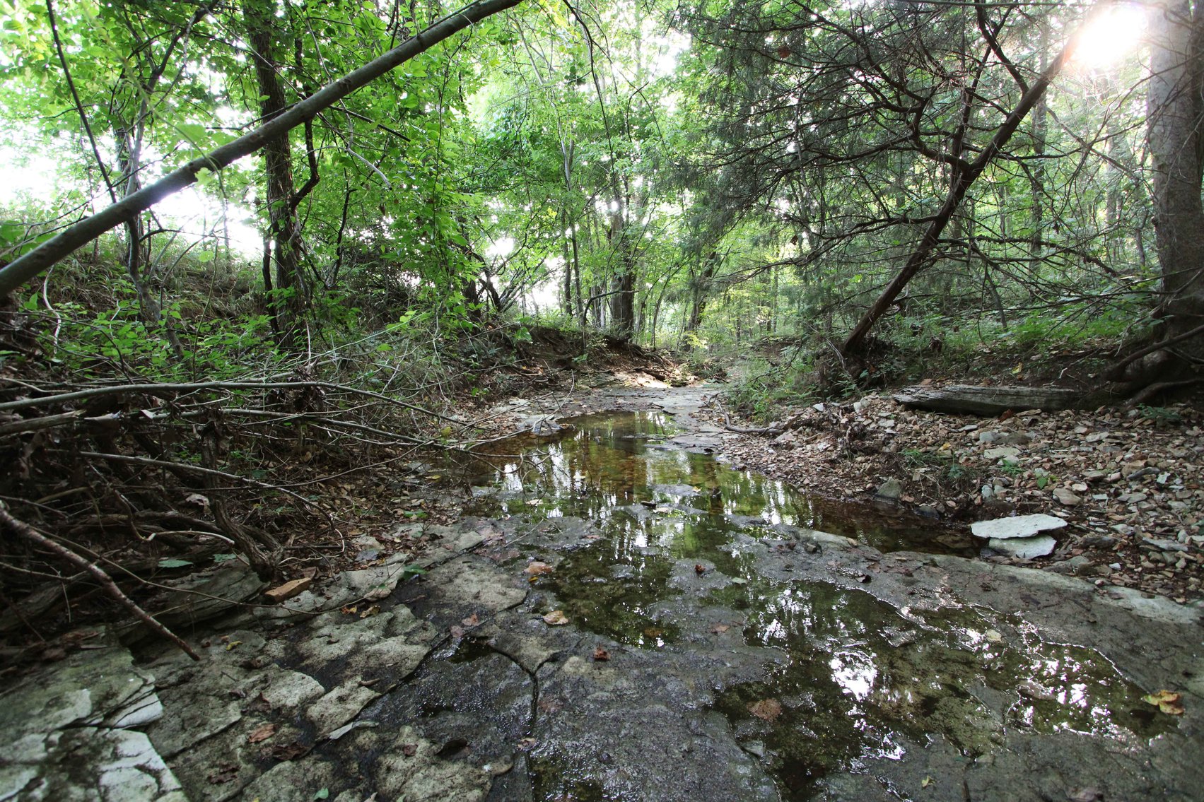 Image for 65.16 acres +/- off of County Road 522, Jackson MO 63755, MLS # 25009340