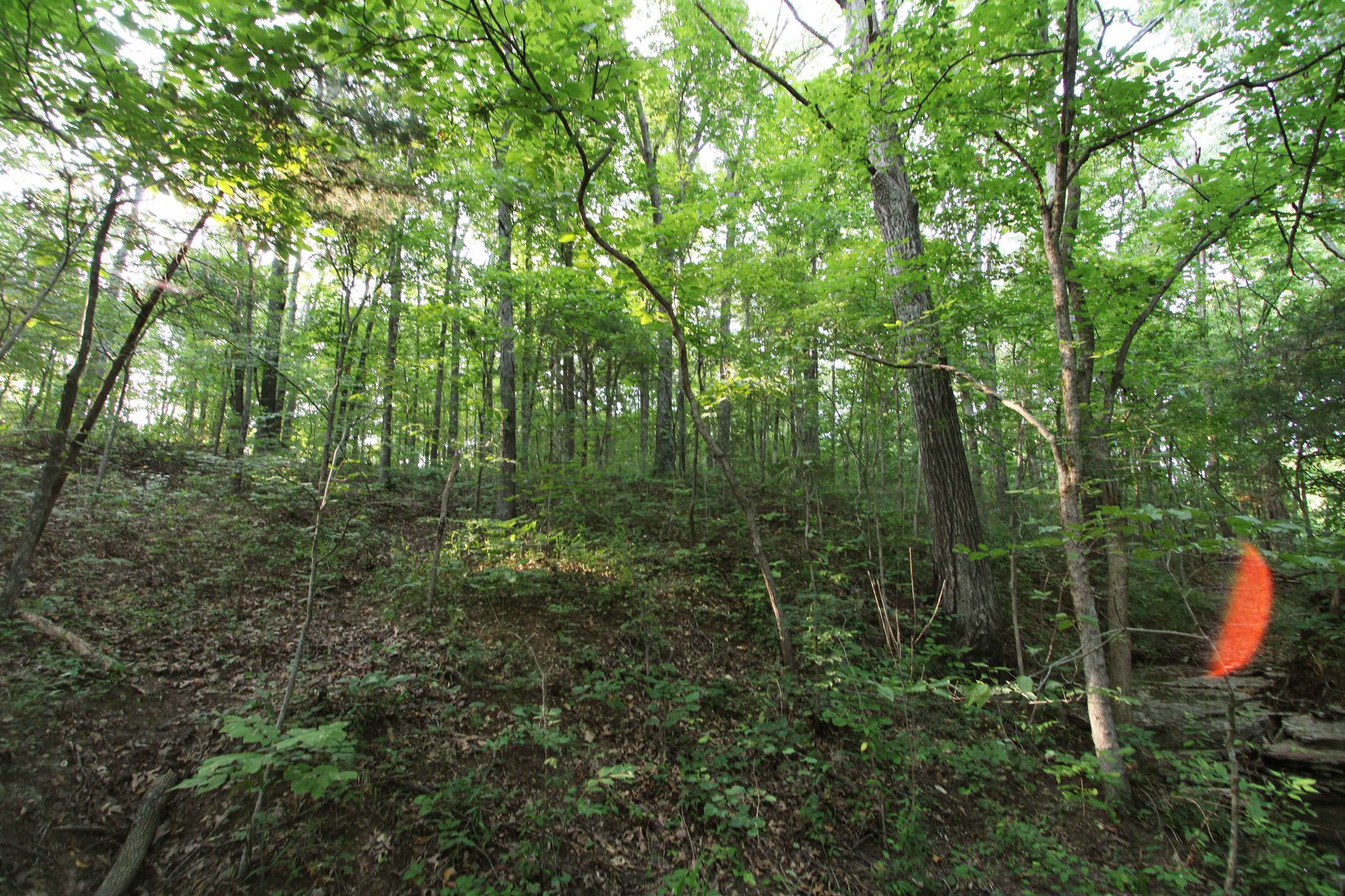 Image for 65.16 acres +/- off of County Road 522, Jackson MO 63755, MLS # 25009340