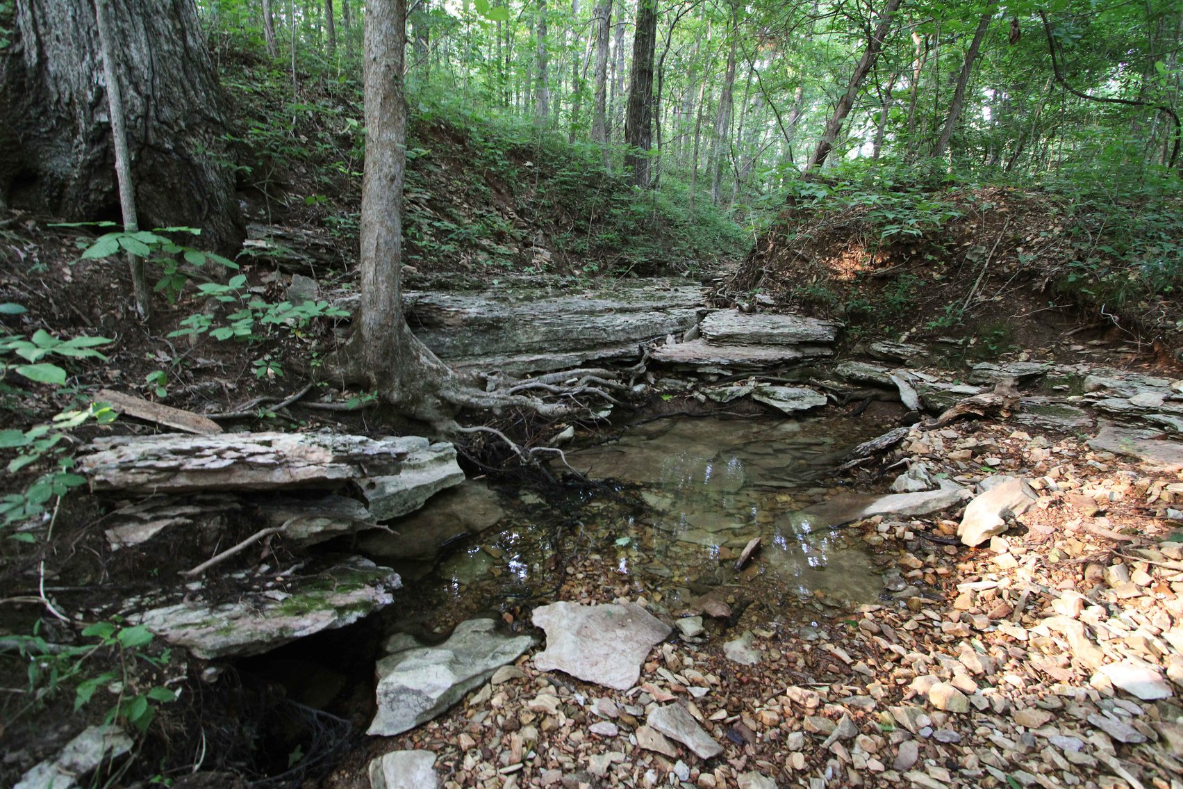 Image for 65.16 acres +/- off of County Road 522, Jackson MO 63755, MLS # 25009340