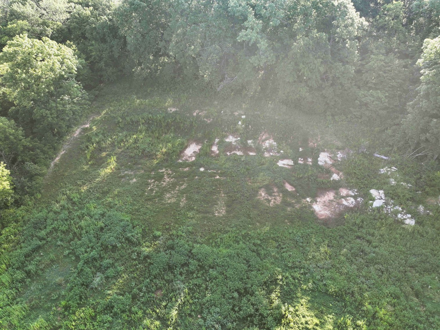 Image for 14500 US HWY 61, Oak Ridge MO 63769, MLS # 25054573