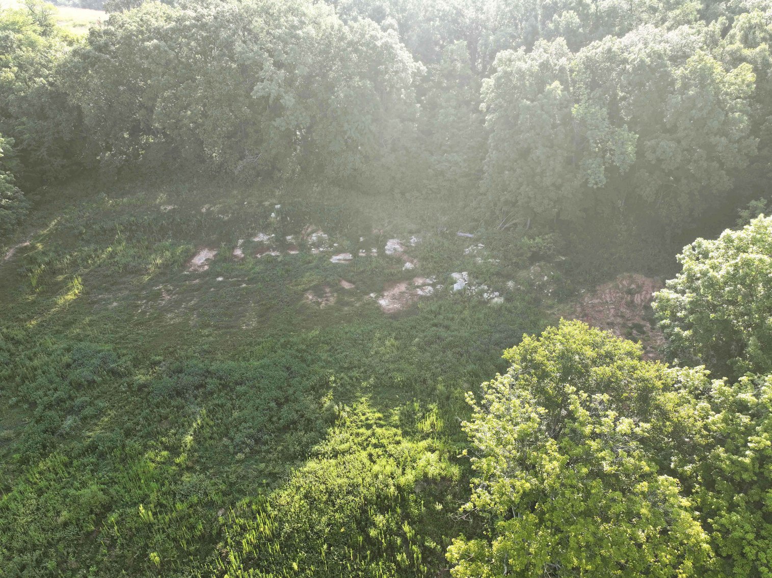 Image for 14500 US HWY 61, Oak Ridge MO 63769, MLS # 25054573