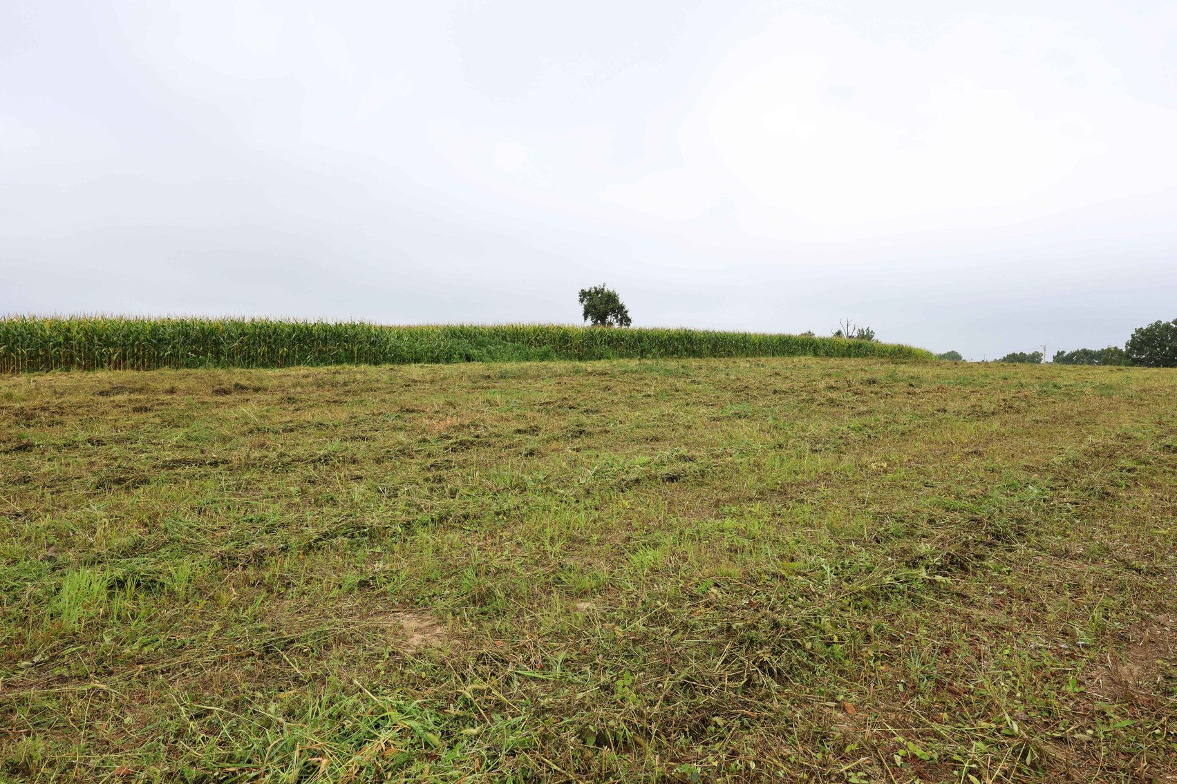 Image for 3.13 Acres m/l Lot 4B Vincientian Way/Hwy 51, Perryville, MO 63775