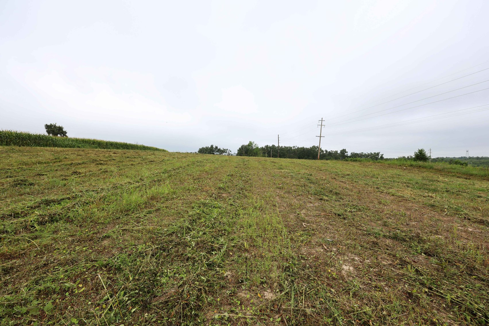 Image for 3.13 Acres m/l Lot 4B Vincientian Way/Hwy 51, Perryville, MO 63775