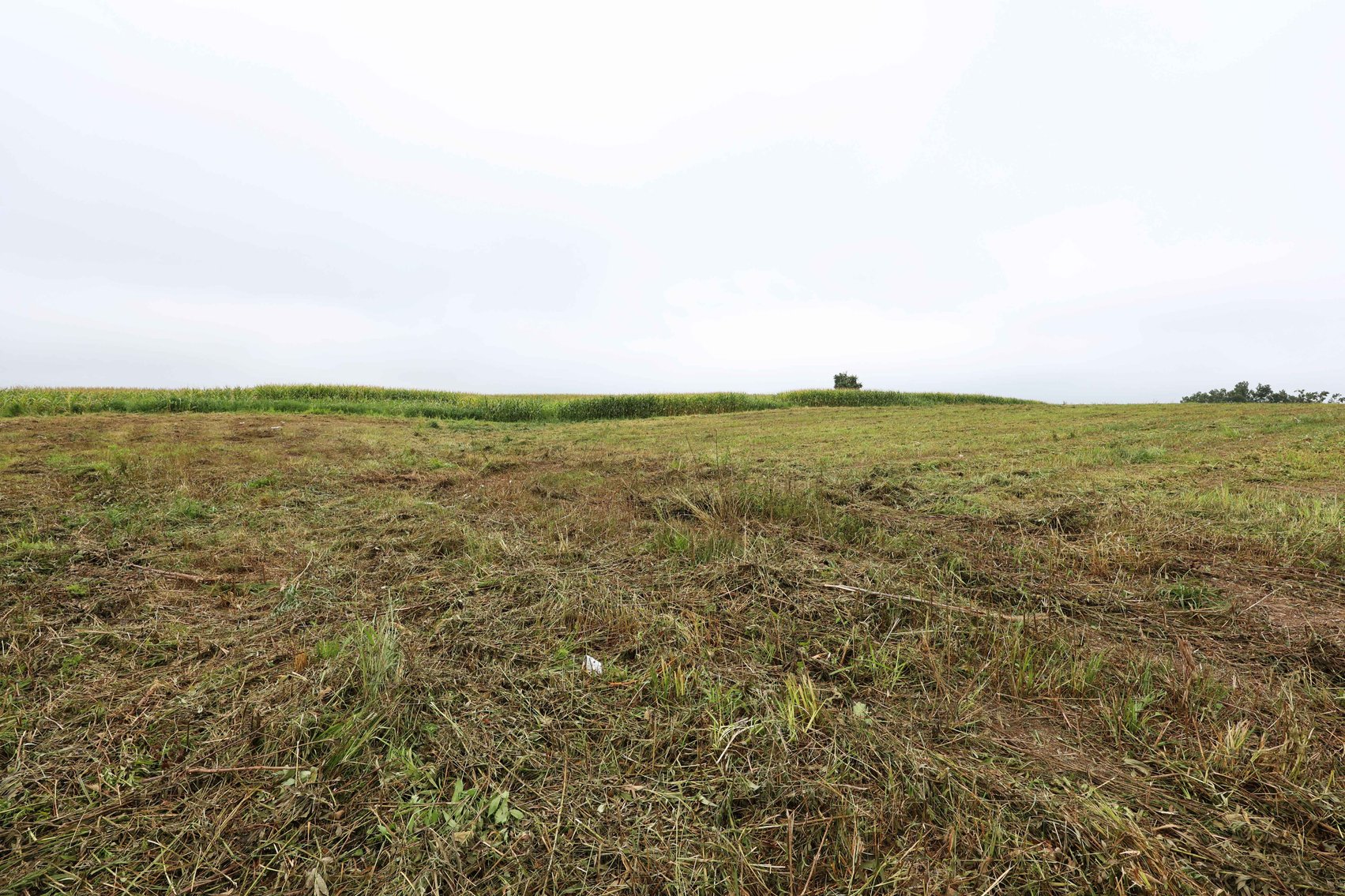 Image for 3.13 Acres m/l Lot 4B Vincientian Way/Hwy 51, Perryville, MO 63775