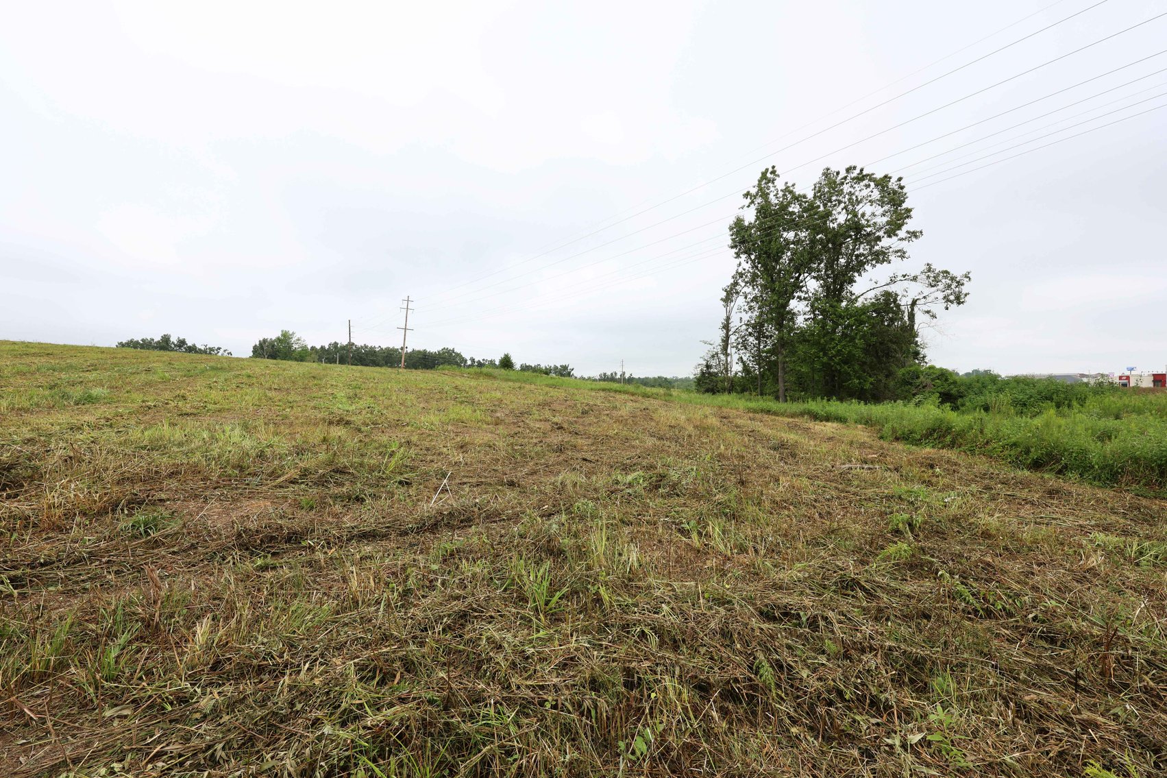 Image for 3.13 Acres m/l Lot 4B Vincientian Way/Hwy 51, Perryville, MO 63775