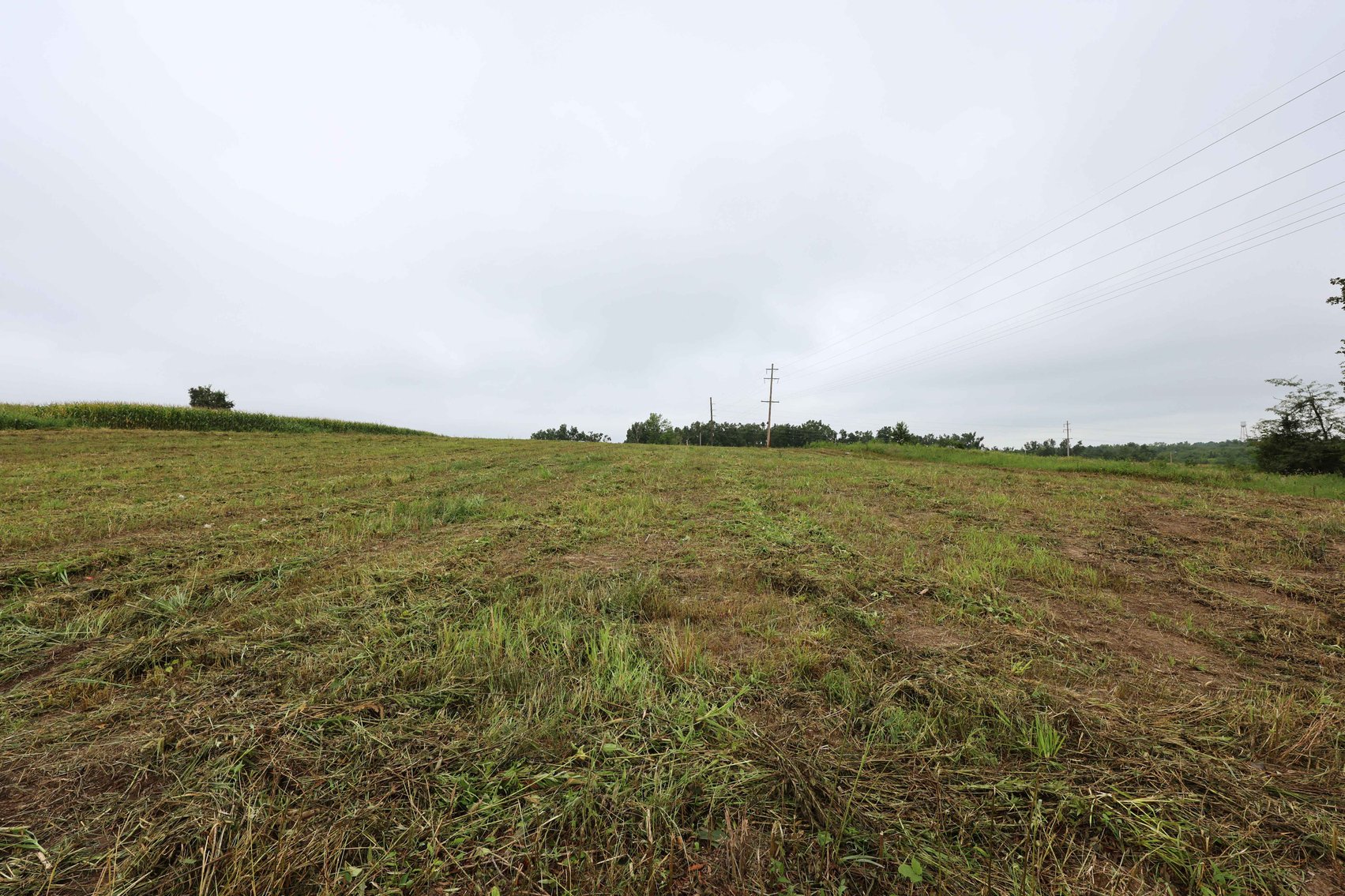 Image for 3.13 Acres m/l Lot 4B Vincientian Way/Hwy 51, Perryville, MO 63775