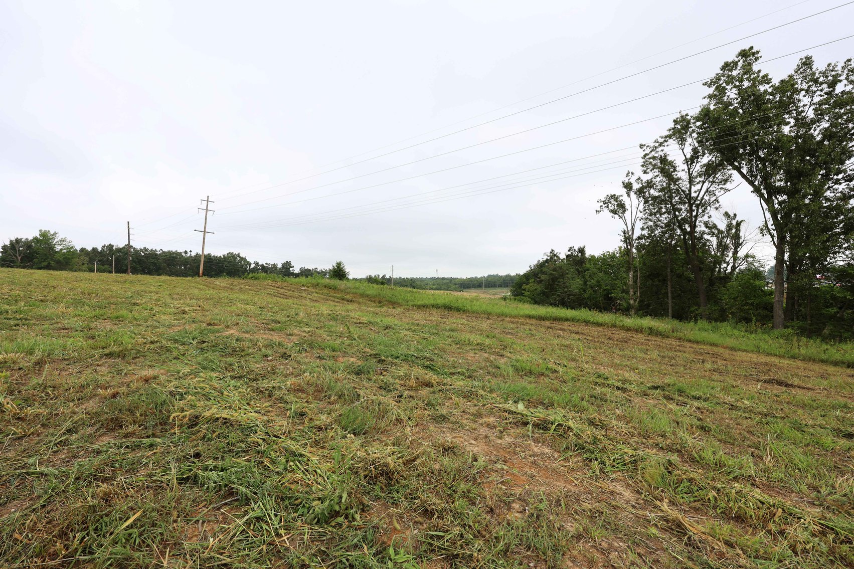 Image for 3.13 Acres m/l Lot 4B Vincientian Way/Hwy 51, Perryville, MO 63775