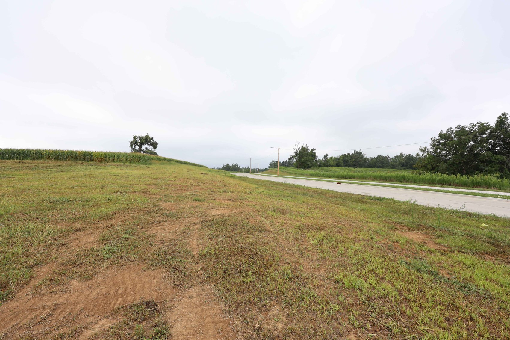 Image for 3.13 Acres m/l Lot 4B Vincientian Way/Hwy 51, Perryville, MO 63775