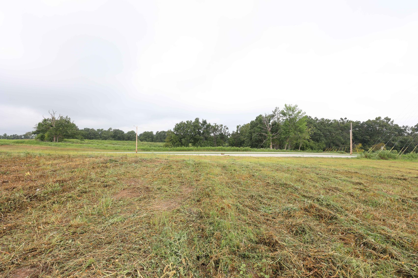 Image for 3.13 Acres m/l Lot 4B Vincientian Way/Hwy 51, Perryville, MO 63775
