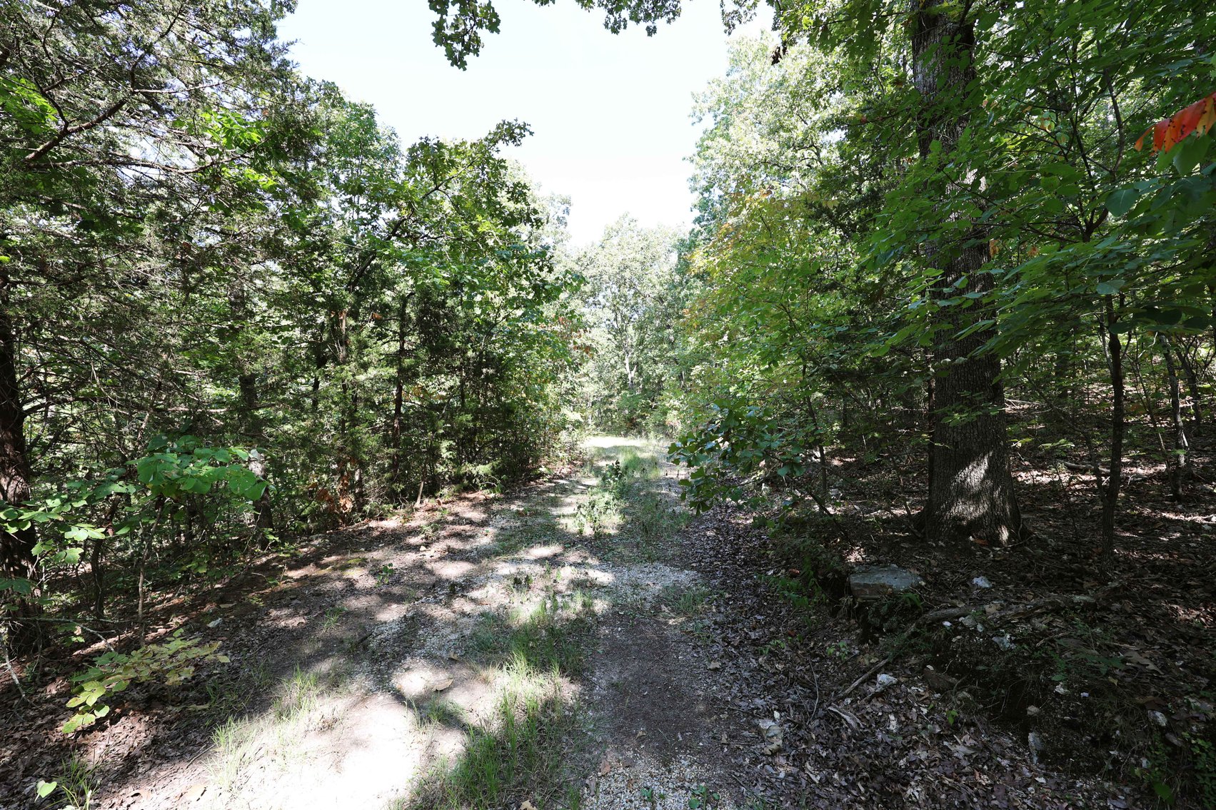Image for 71.75 Acres +/-, Off Holmes Rd, St Mary, MO 63673, MLS # 25062290
