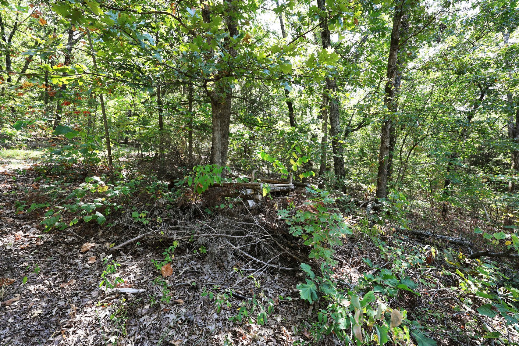 Image for 71.75 Acres +/-, Off Holmes Rd, St Mary, MO 63673, MLS # 25062290