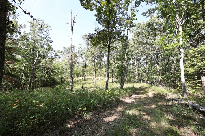 Image for 71.75 Acres +/-, Off Holmes Rd, St Mary, MO 63673, MLS # 25062290