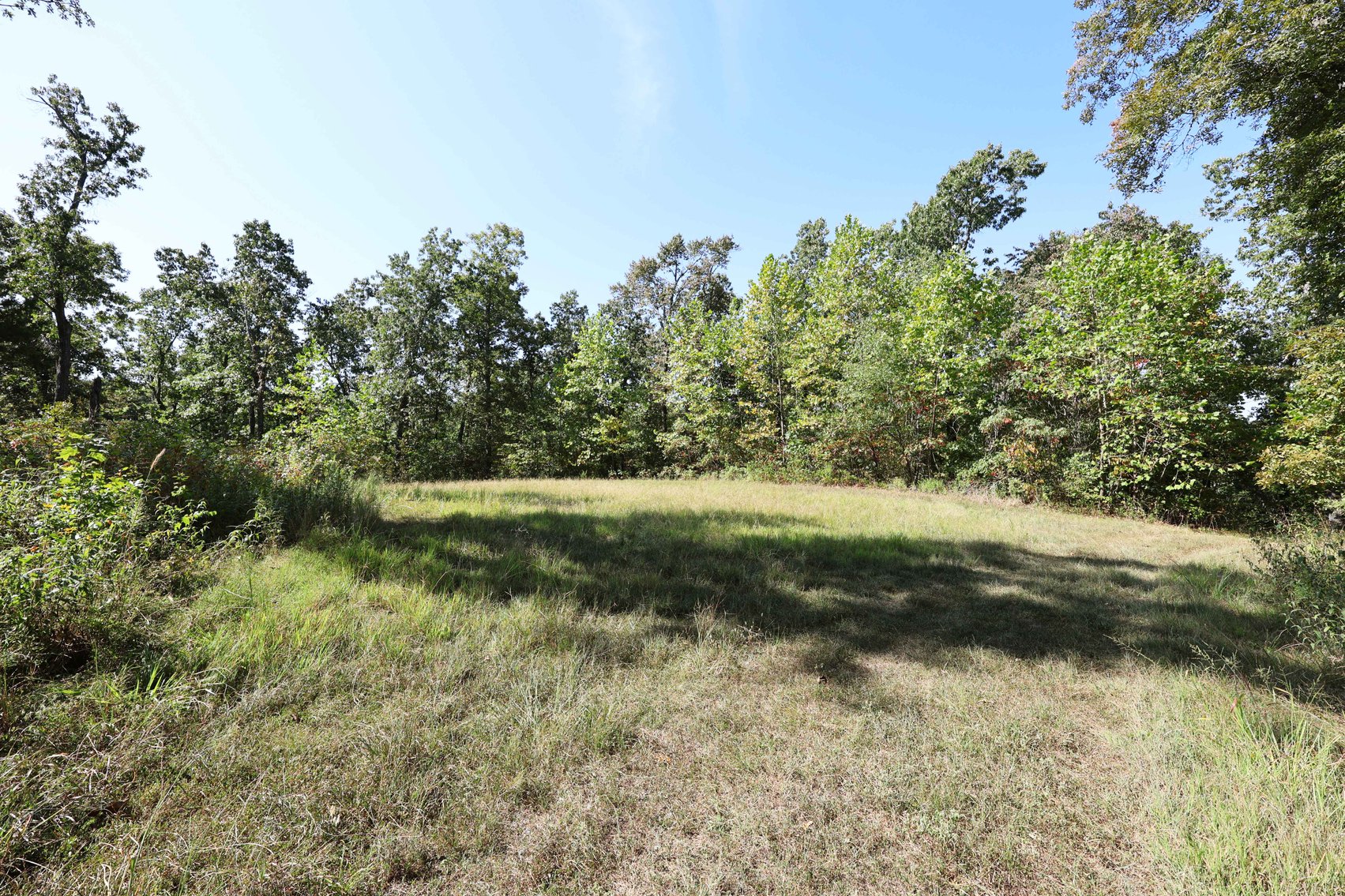 Image for 71.75 Acres +/-, Off Holmes Rd, St Mary, MO 63673, MLS # 25062290