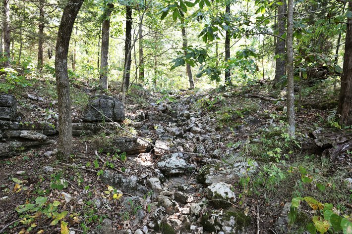 Image for 71.75 Acres +/-, Off Holmes Rd, St Mary, MO 63673, MLS # 25062290