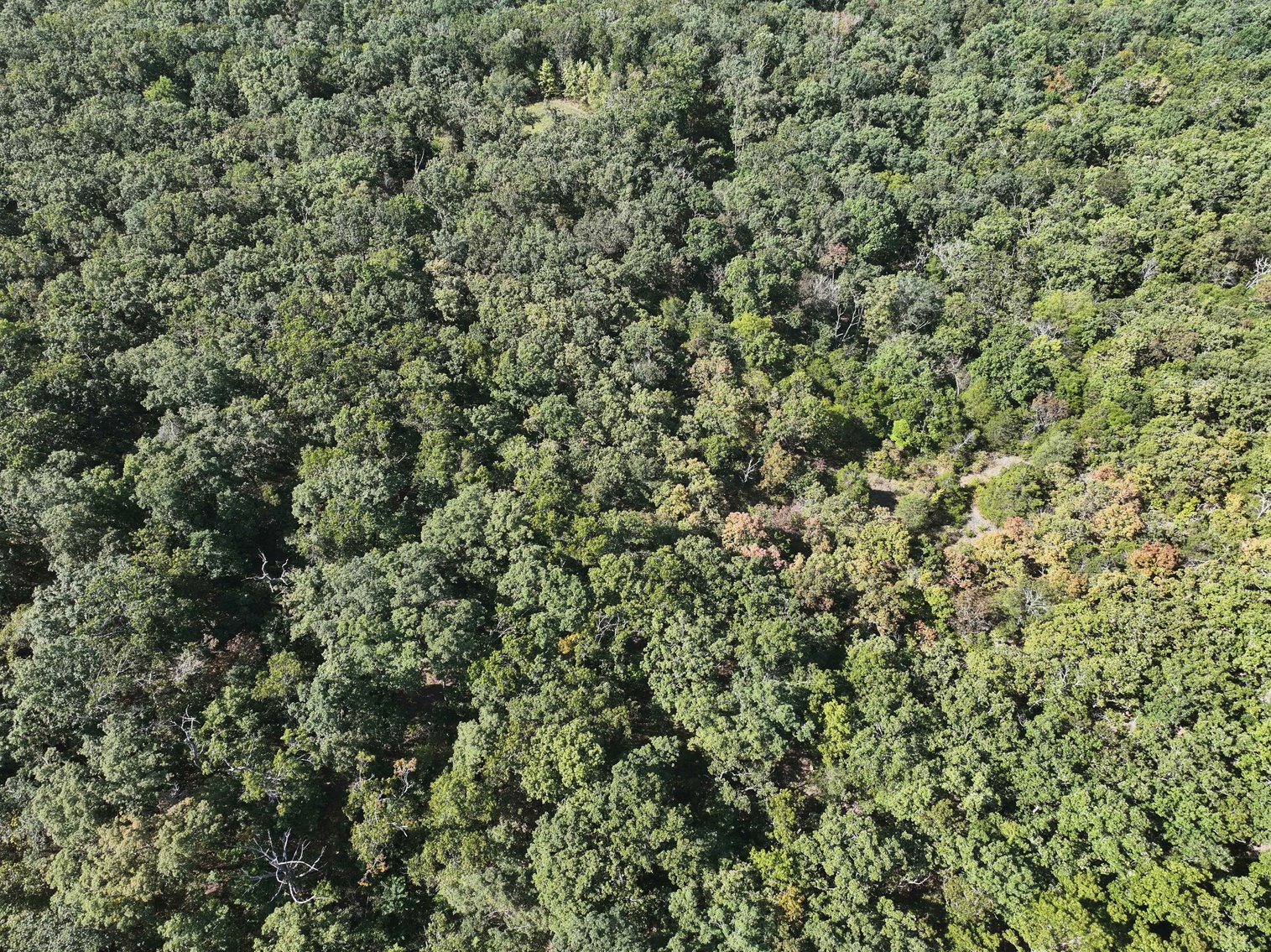 Image for 71.75 Acres +/-, Off Holmes Rd, St Mary, MO 63673, MLS # 25062290