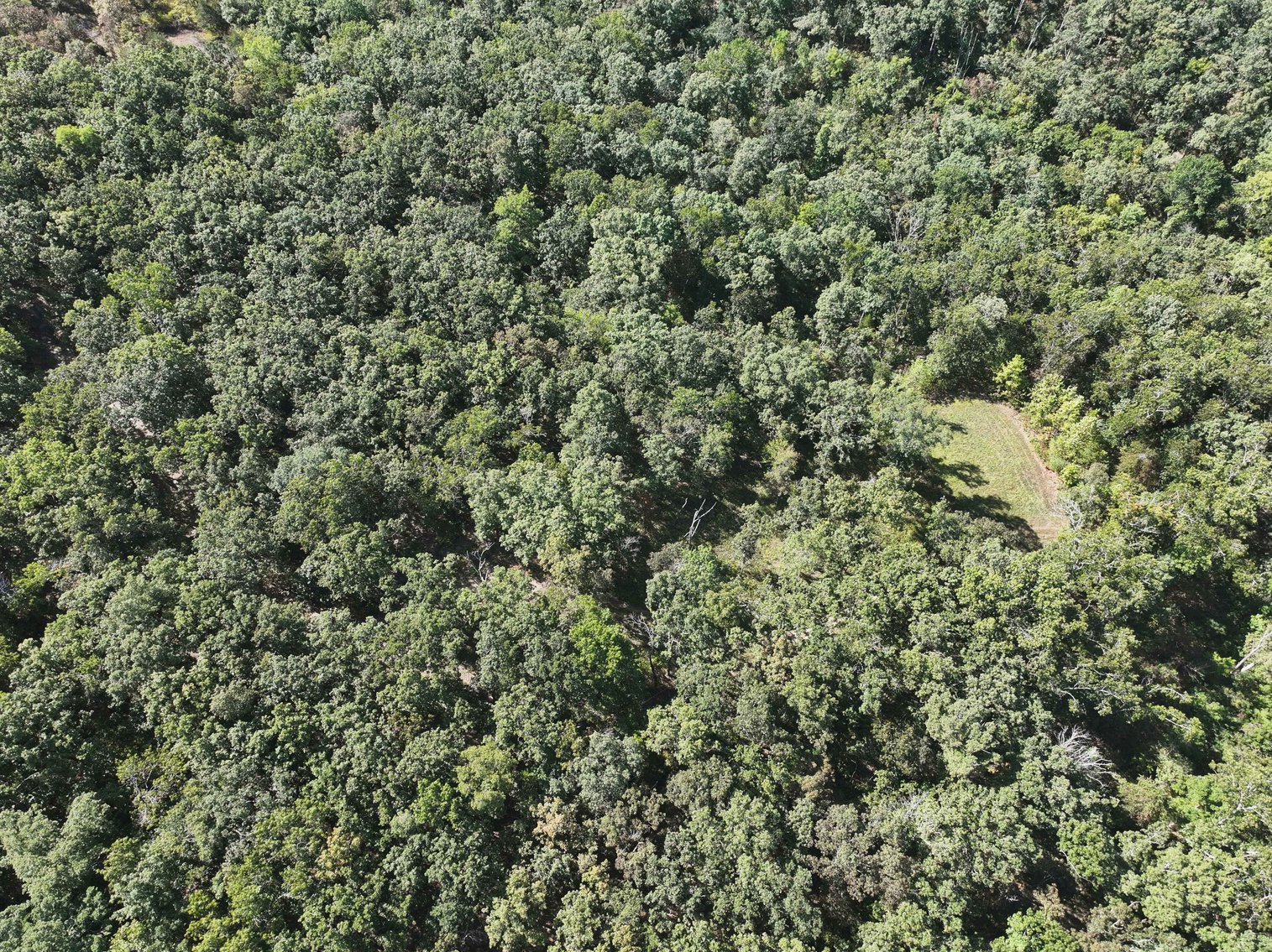 Image for 71.75 Acres +/-, Off Holmes Rd, St Mary, MO 63673, MLS # 25062290