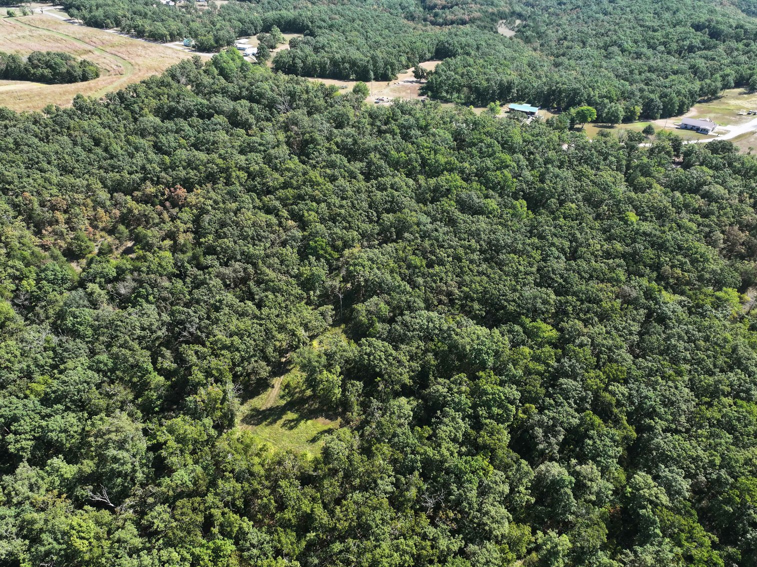 Image for 71.75 Acres +/-, Off Holmes Rd, St Mary, MO 63673, MLS # 25062290