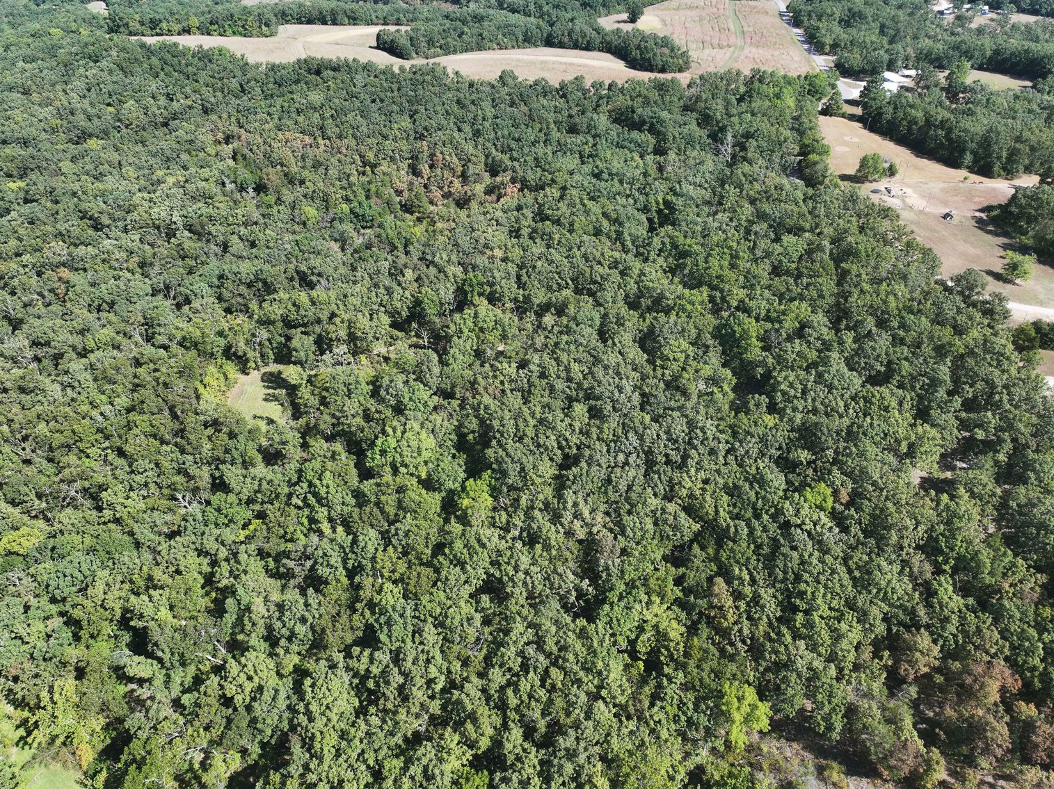 Image for 71.75 Acres +/-, Off Holmes Rd, St Mary, MO 63673, MLS # 25062290