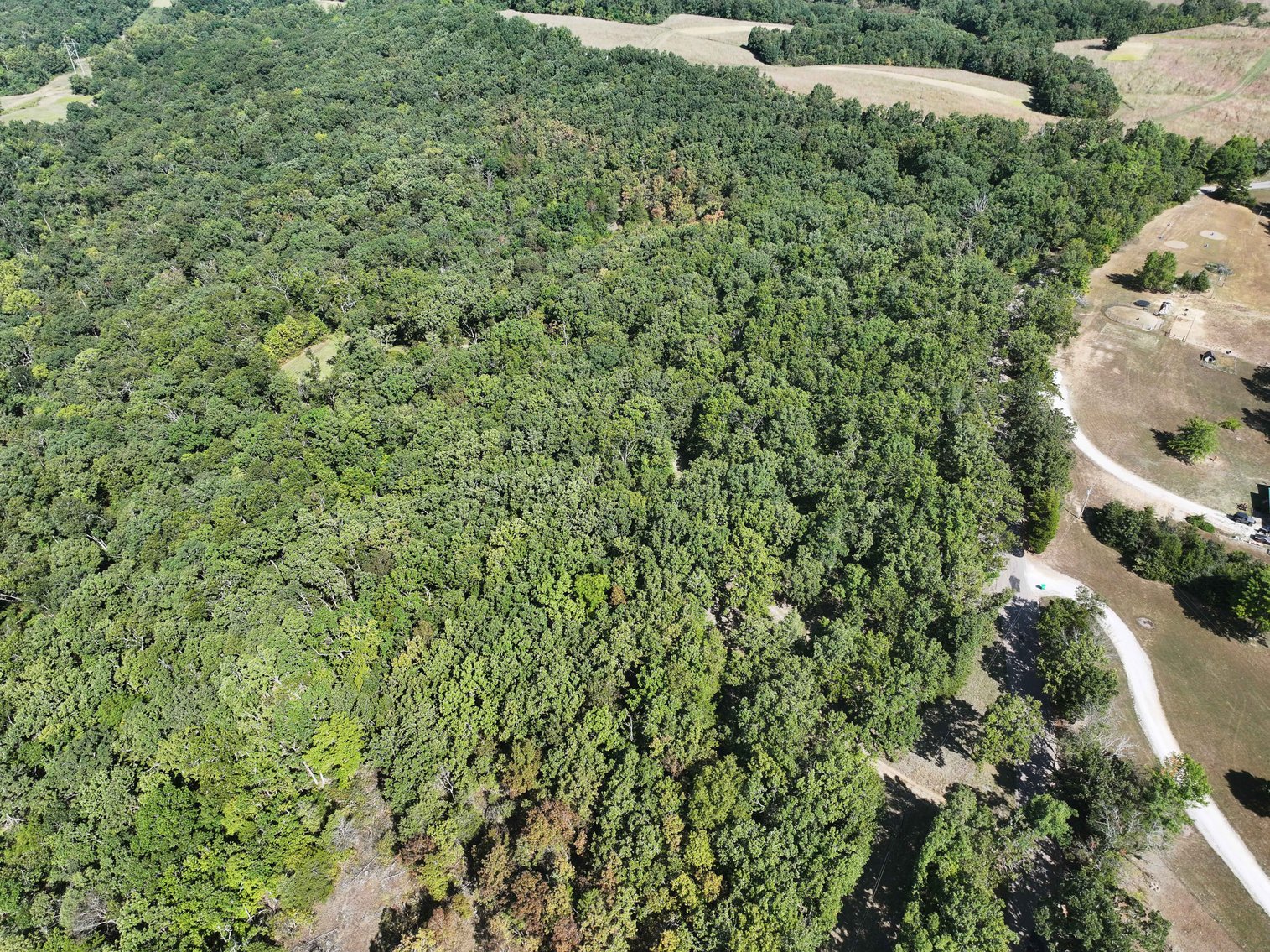 Image for 71.75 Acres +/-, Off Holmes Rd, St Mary, MO 63673, MLS # 25062290