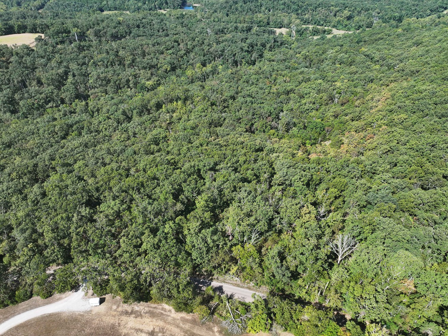 Image for 71.75 Acres +/-, Off Holmes Rd, St Mary, MO 63673, MLS # 25062290