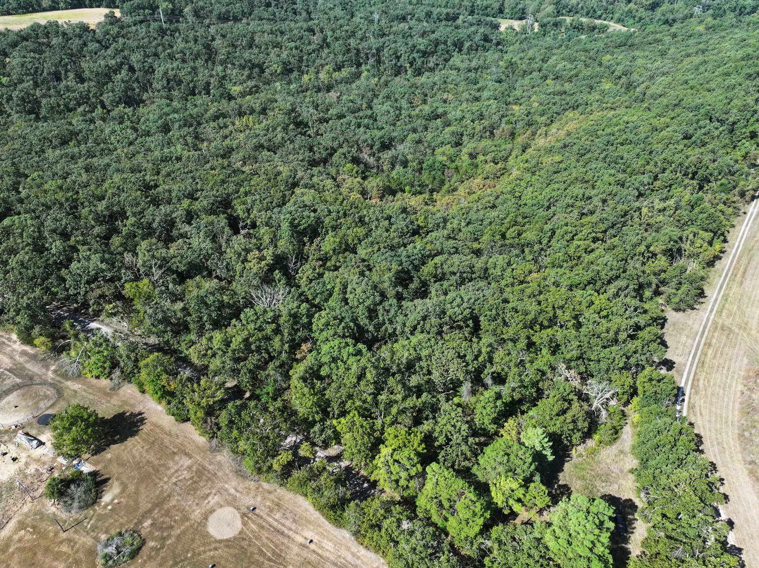 Image for 71.75 Acres +/-, Off Holmes Rd, St Mary, MO 63673, MLS # 25062290