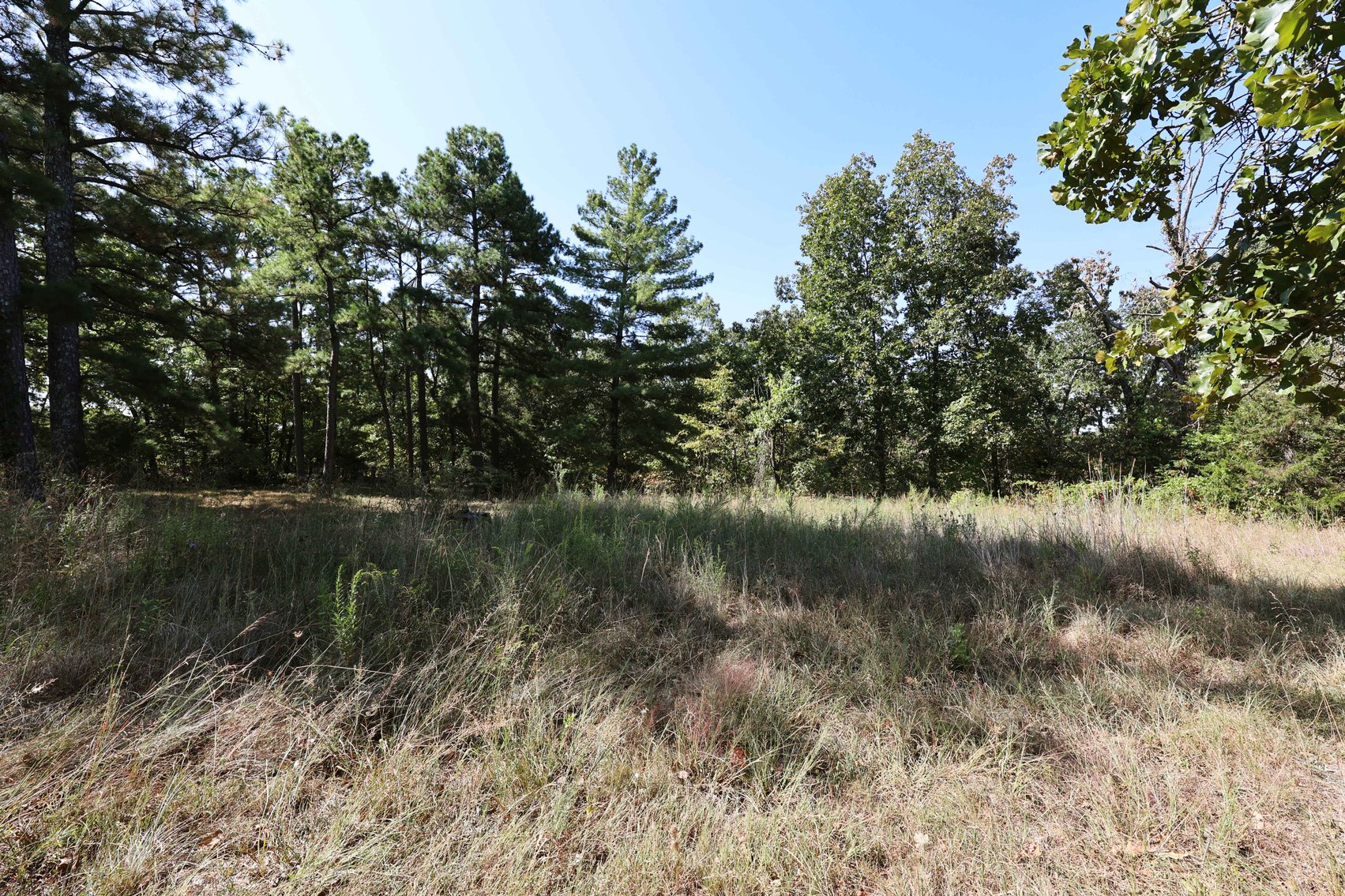 Image for 71.75 Acres +/-, Off Holmes Rd, St Mary, MO 63673, MLS # 25062290