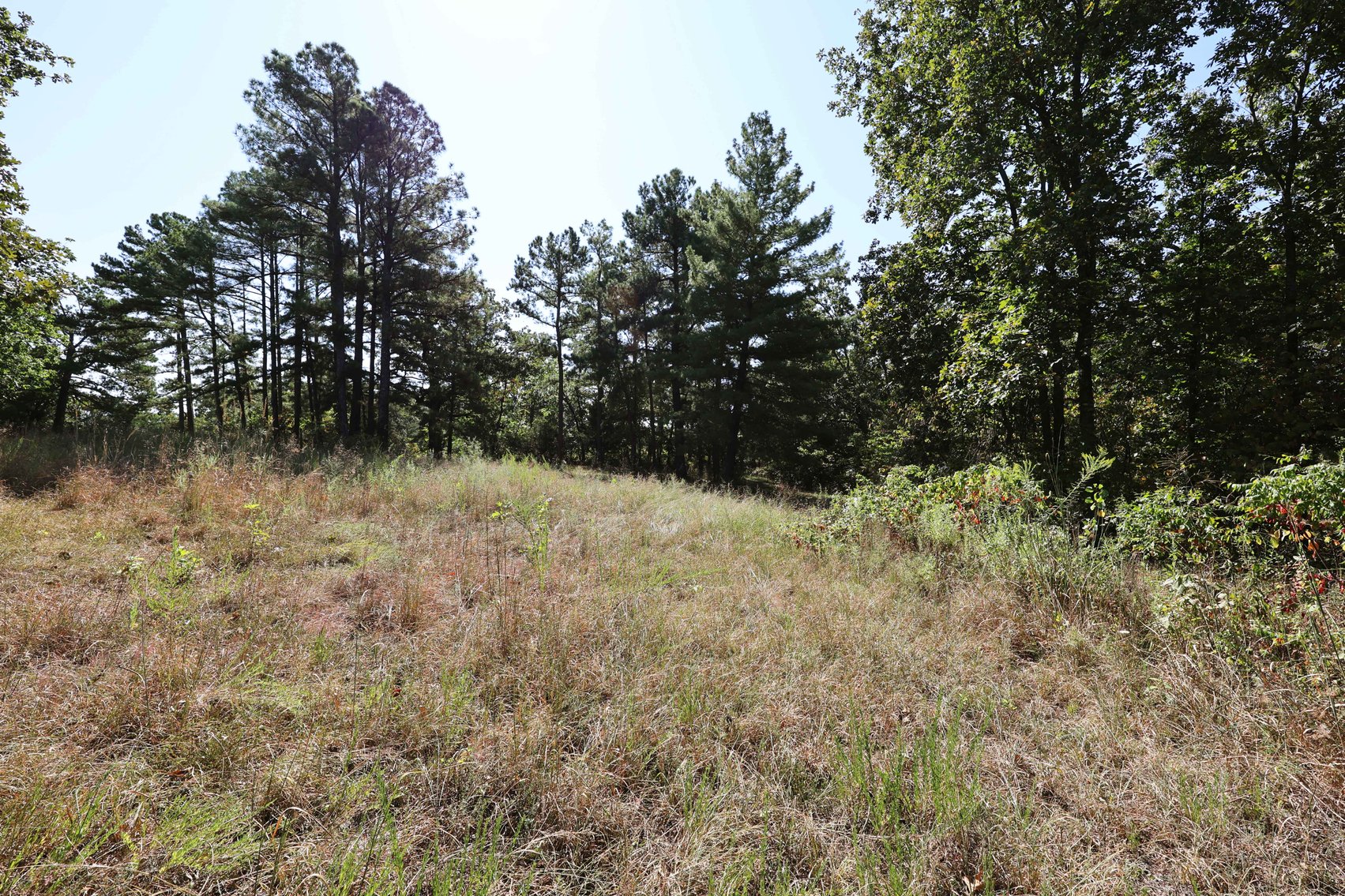 Image for 71.75 Acres +/-, Off Holmes Rd, St Mary, MO 63673, MLS # 25062290