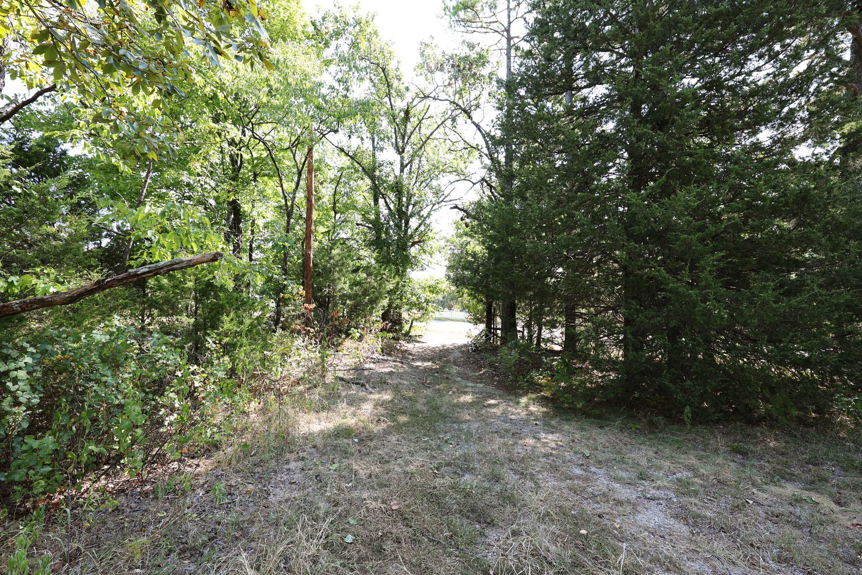Image for 71.75 Acres +/-, Off Holmes Rd, St Mary, MO 63673, MLS # 25062290