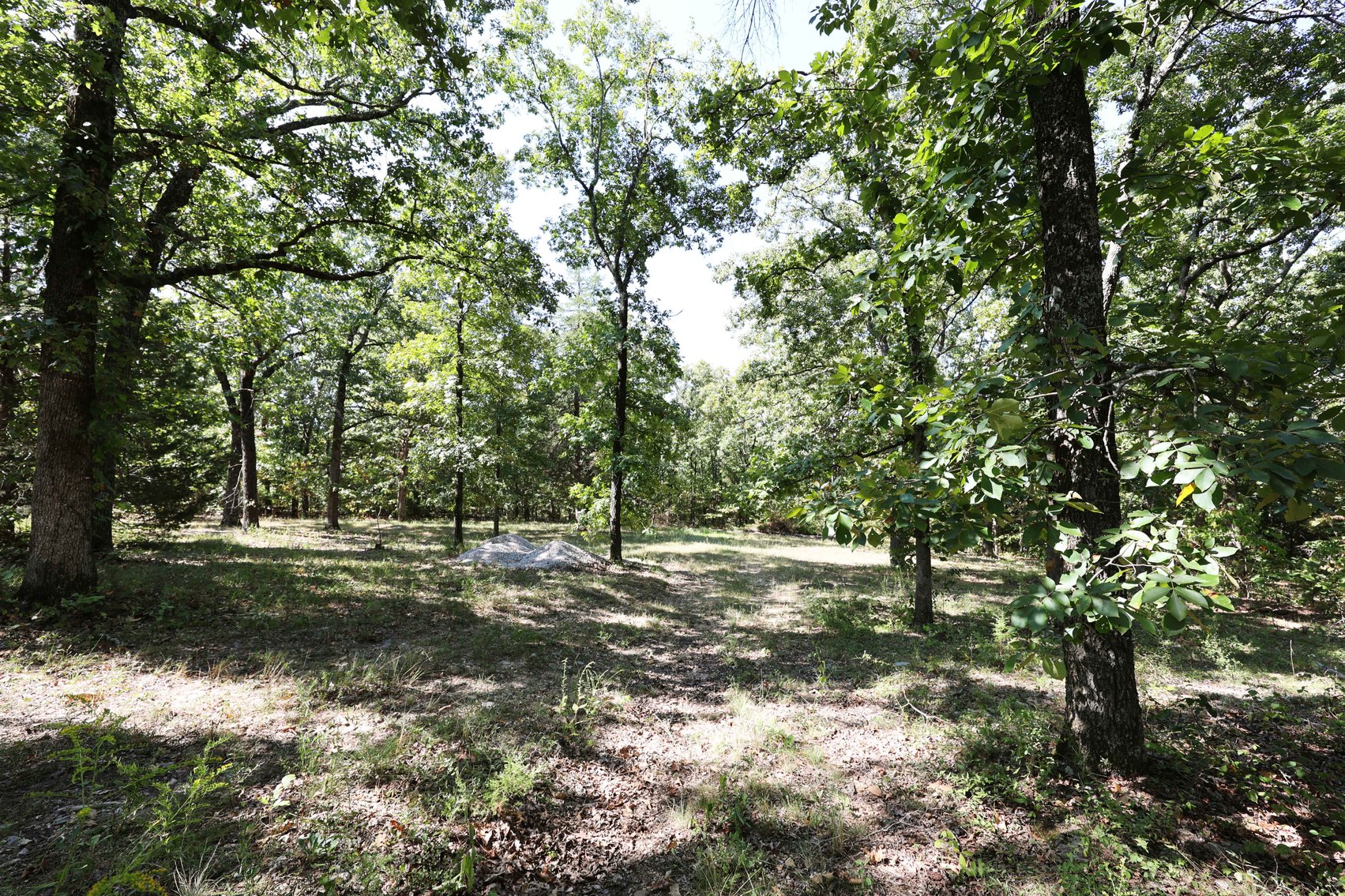 Image for 71.75 Acres +/-, Off Holmes Rd, St Mary, MO 63673, MLS # 25062290