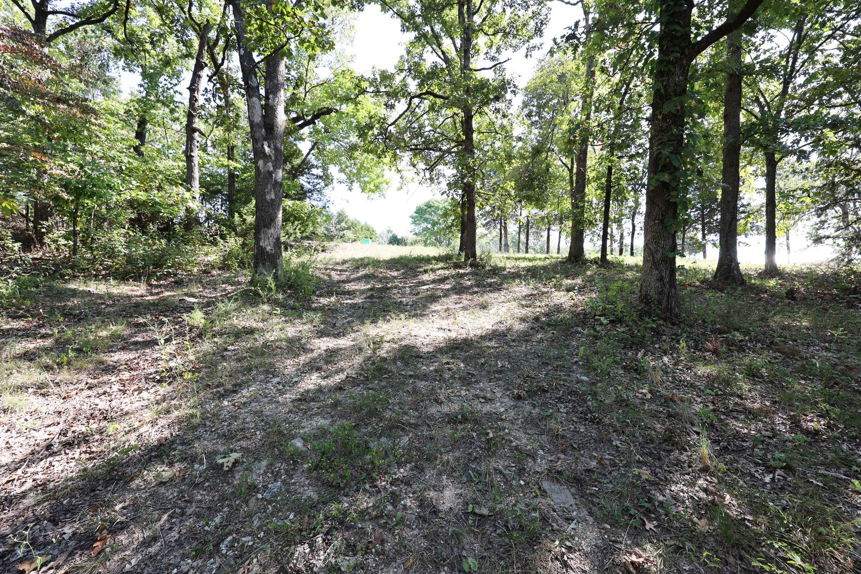 Image for 71.75 Acres +/-, Off Holmes Rd, St Mary, MO 63673, MLS # 25062290