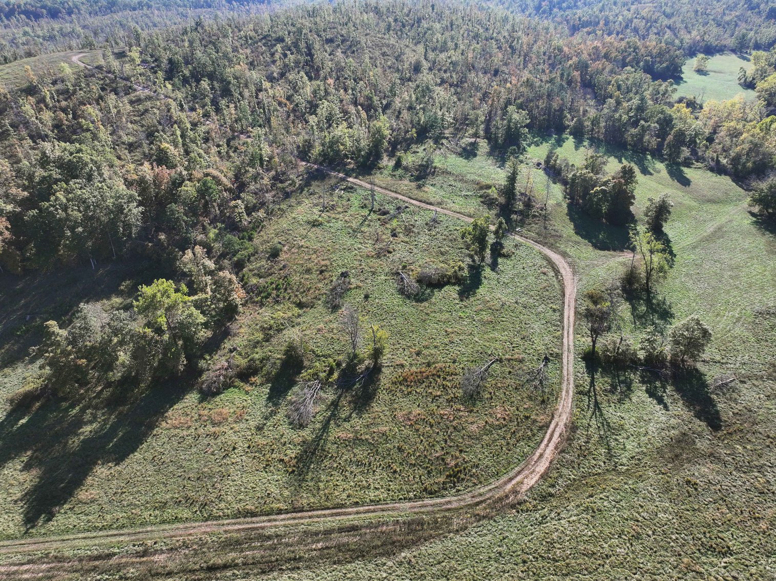 Image for 117.8 Acres +/-, Off Hwy F, Annapolis MO 63620, MLS # 25070582