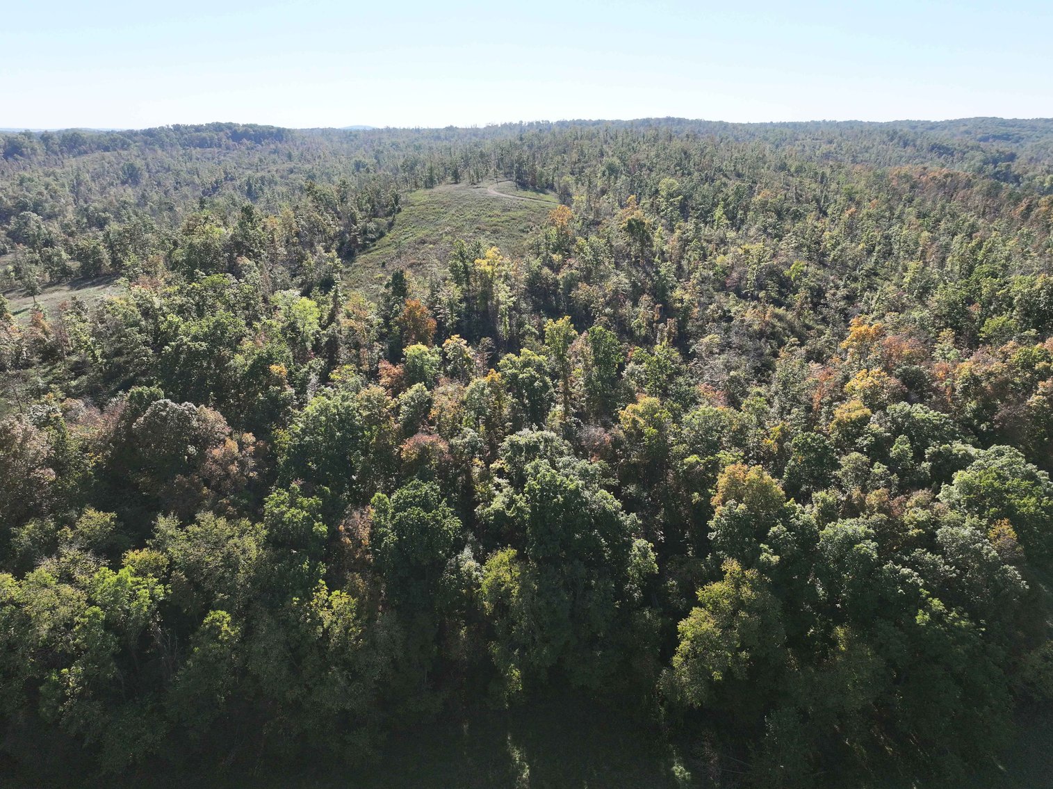 Image for 117.8 Acres +/-, Off Hwy F, Annapolis MO 63620, MLS # 25070582