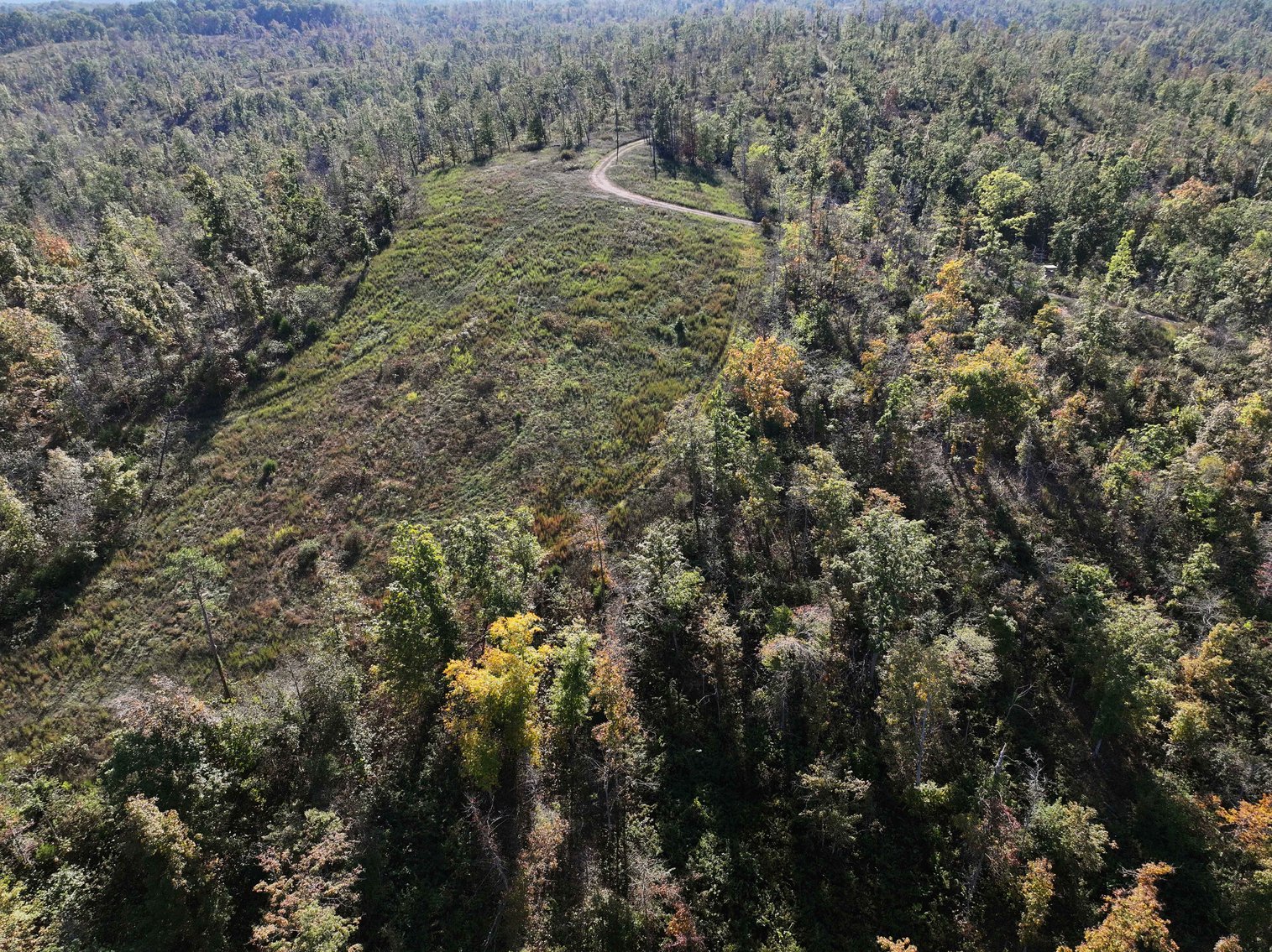 Image for 117.8 Acres +/-, Off Hwy F, Annapolis MO 63620, MLS # 25070582