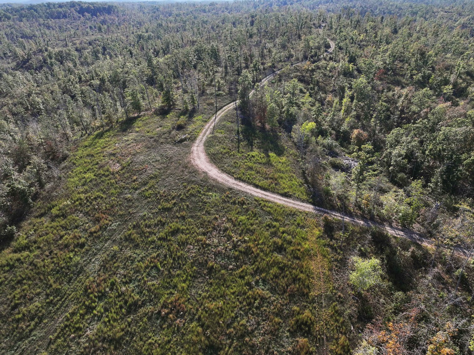 Image for 117.8 Acres +/-, Off Hwy F, Annapolis MO 63620, MLS # 25070582