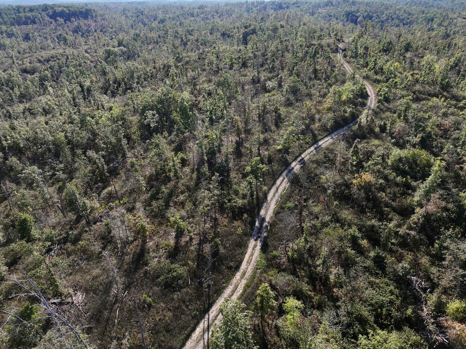 Image for 117.8 Acres +/-, Off Hwy F, Annapolis MO 63620, MLS # 25070582